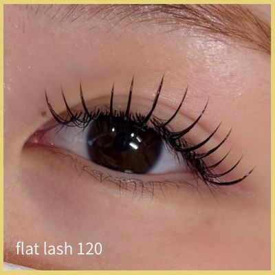 フラットラッシュ120本 or ダブルフラット60set🪽