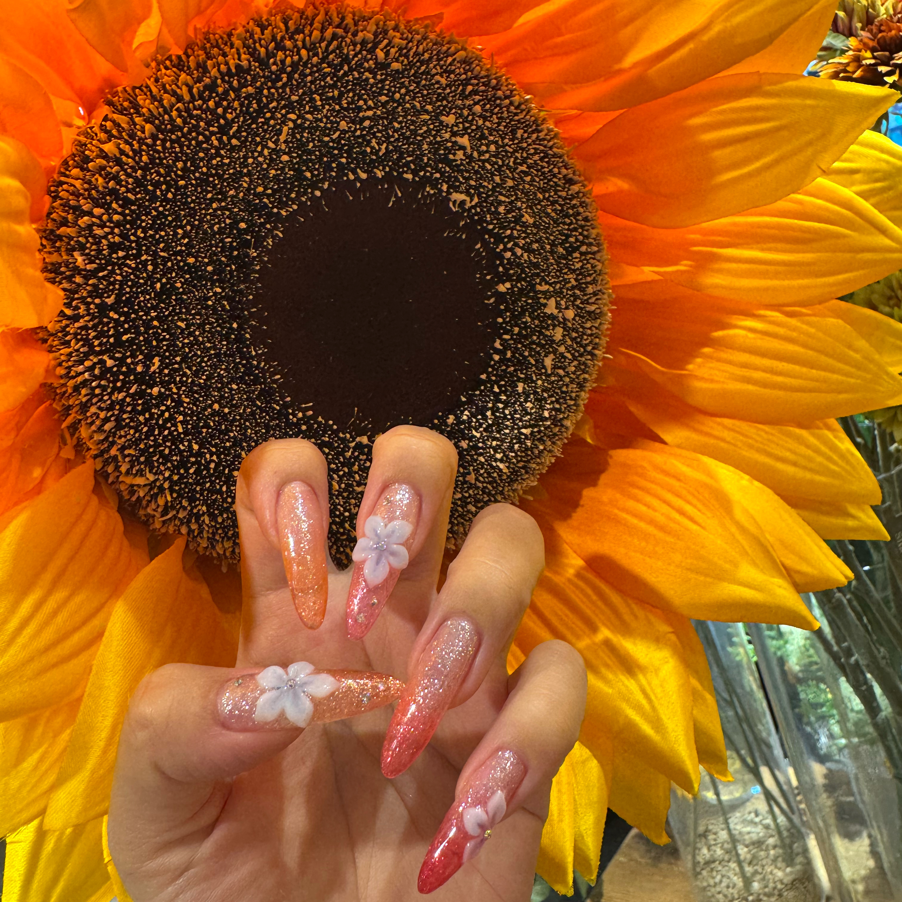 nail_me_37