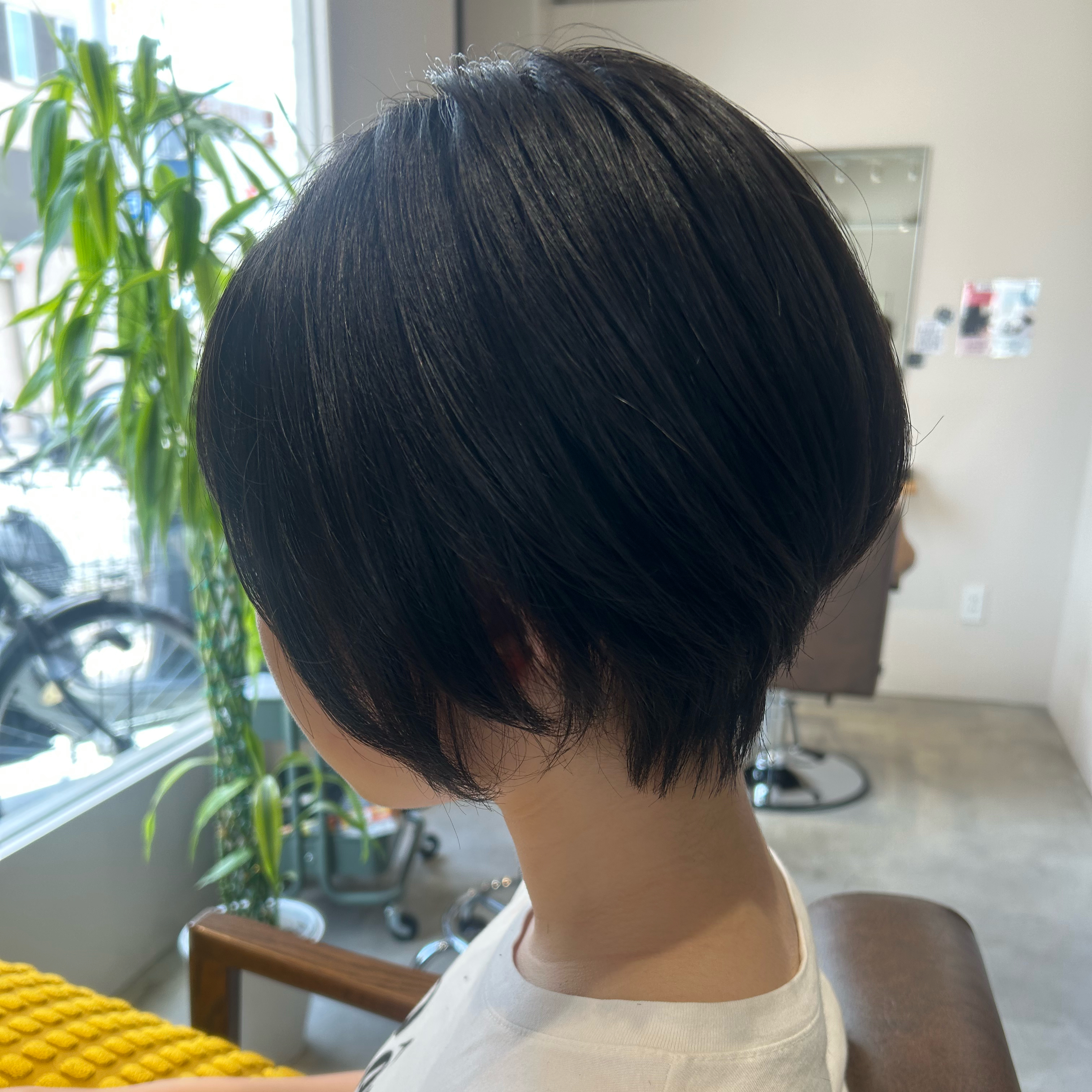 rivegauche_fujiwara