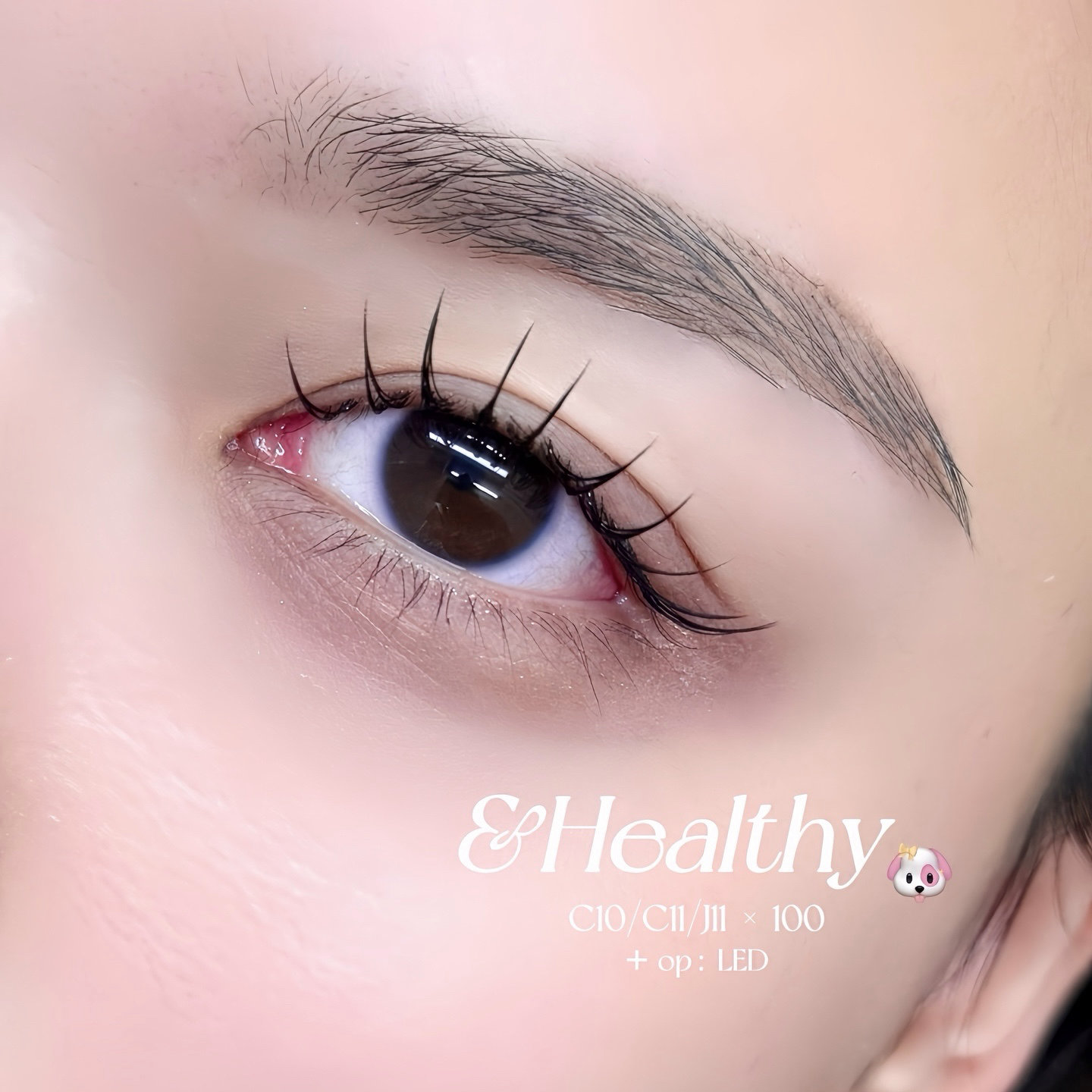 mayu__eye