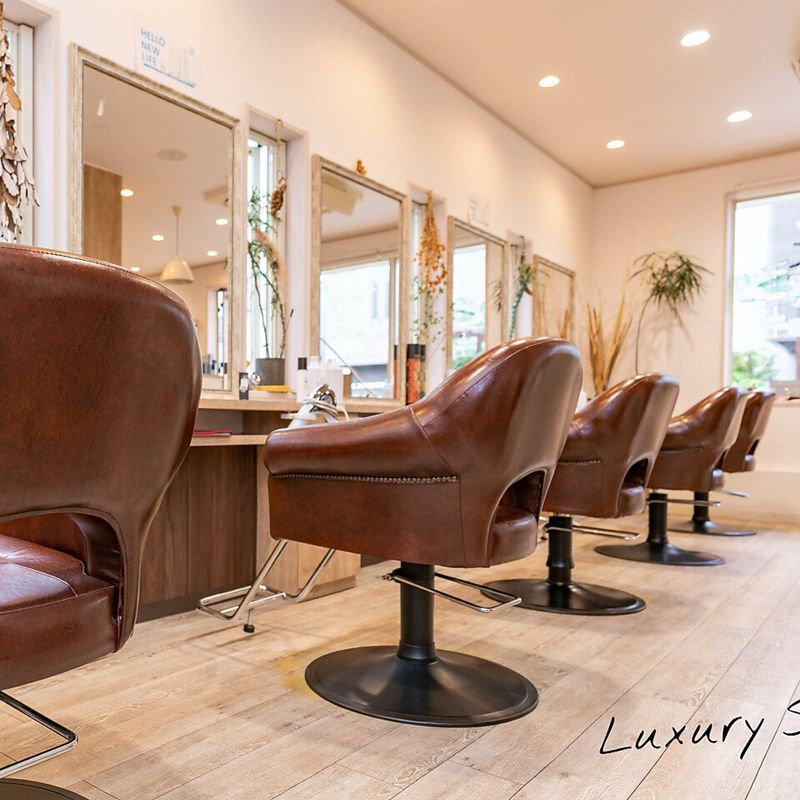 luxury salon wish 