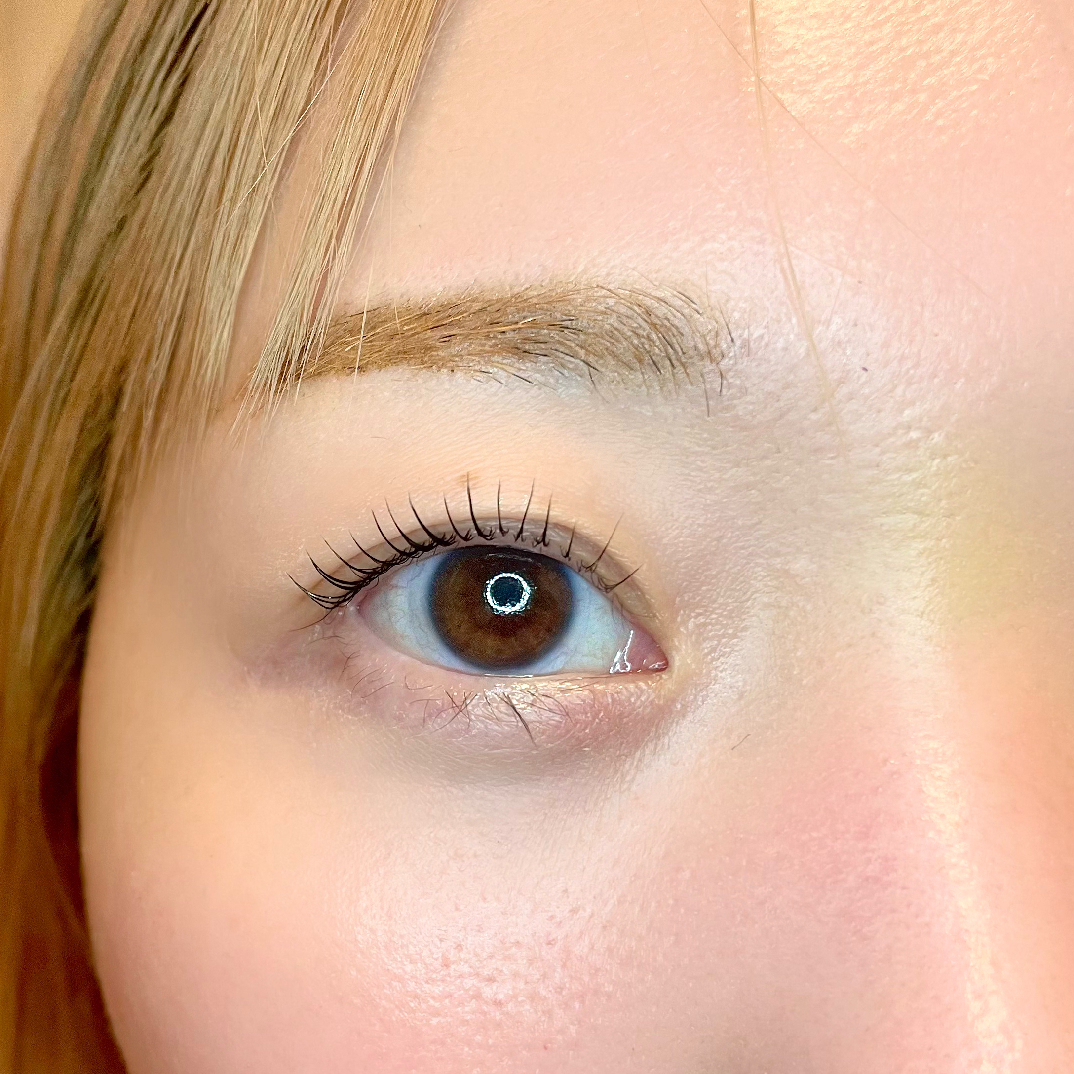 comfy.eye