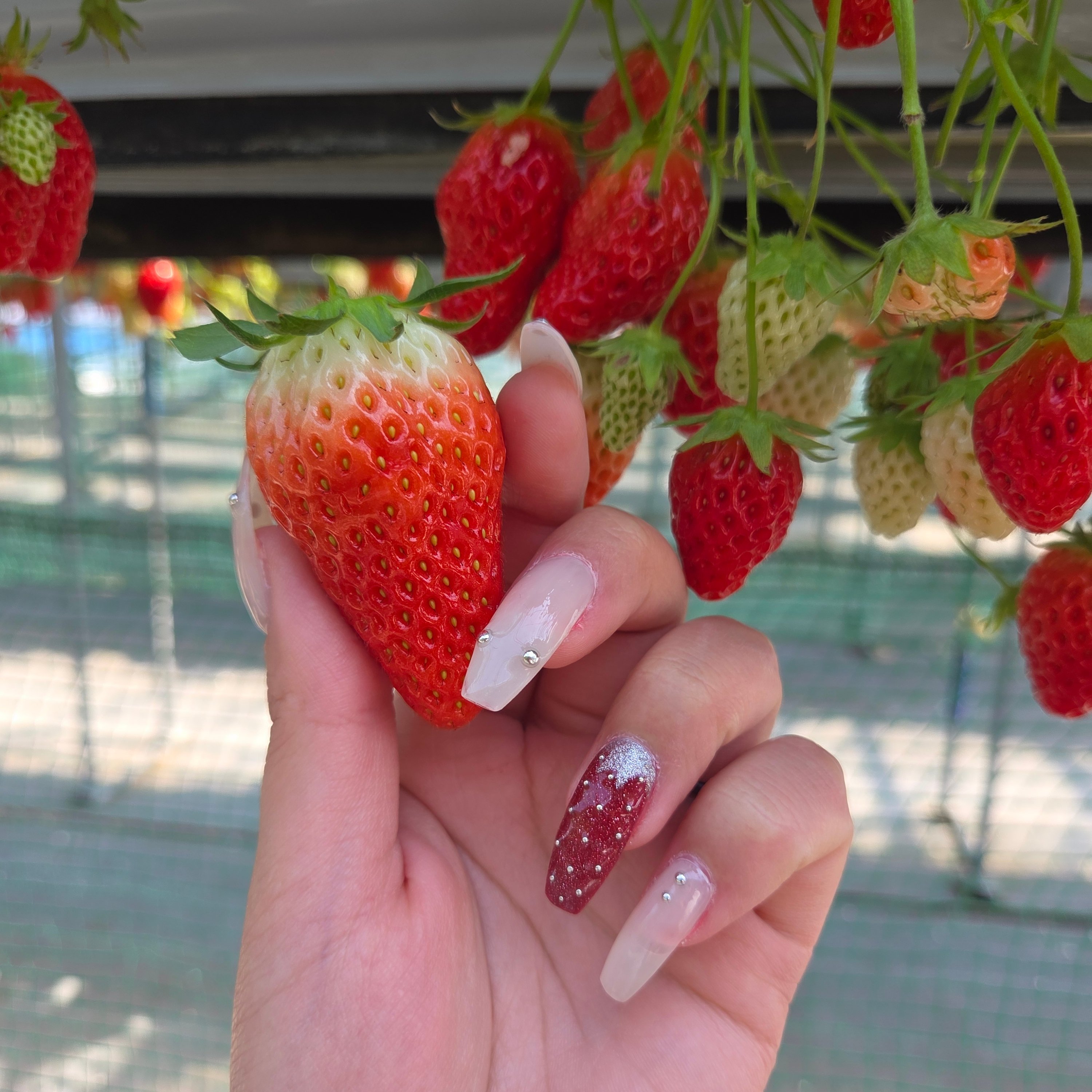 Nails_MiMitsubo