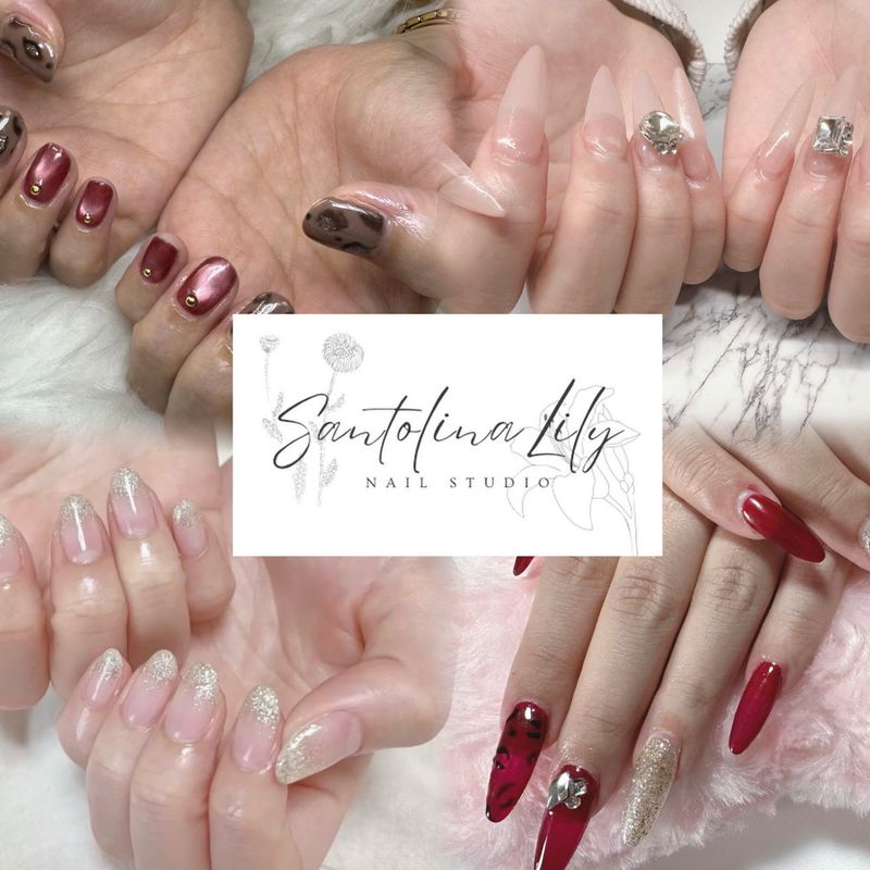 Santolina_Lily