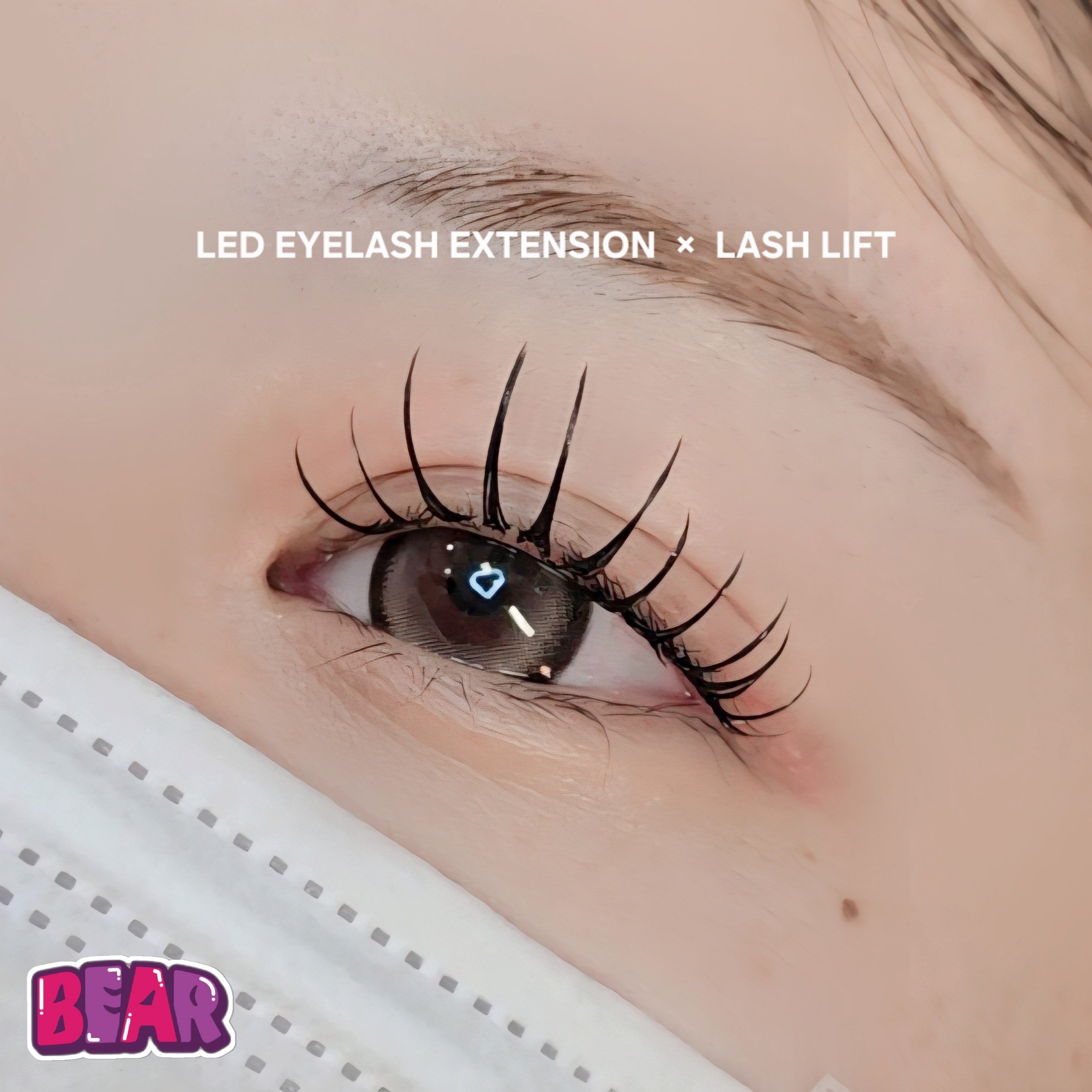 bear._.eyelash