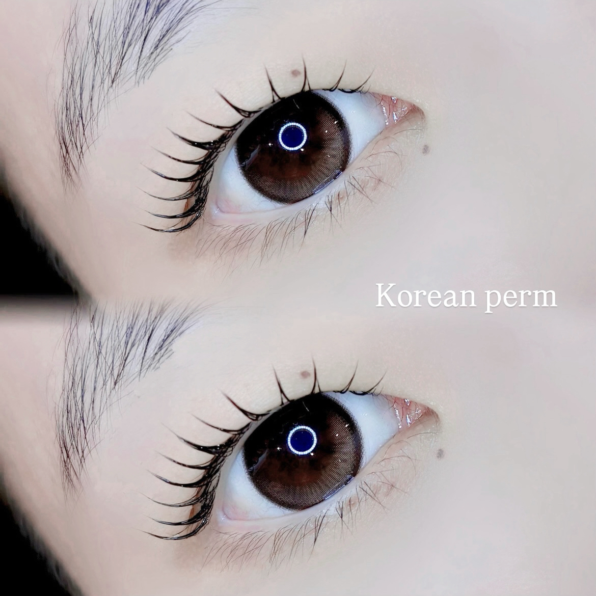 koto_trueye