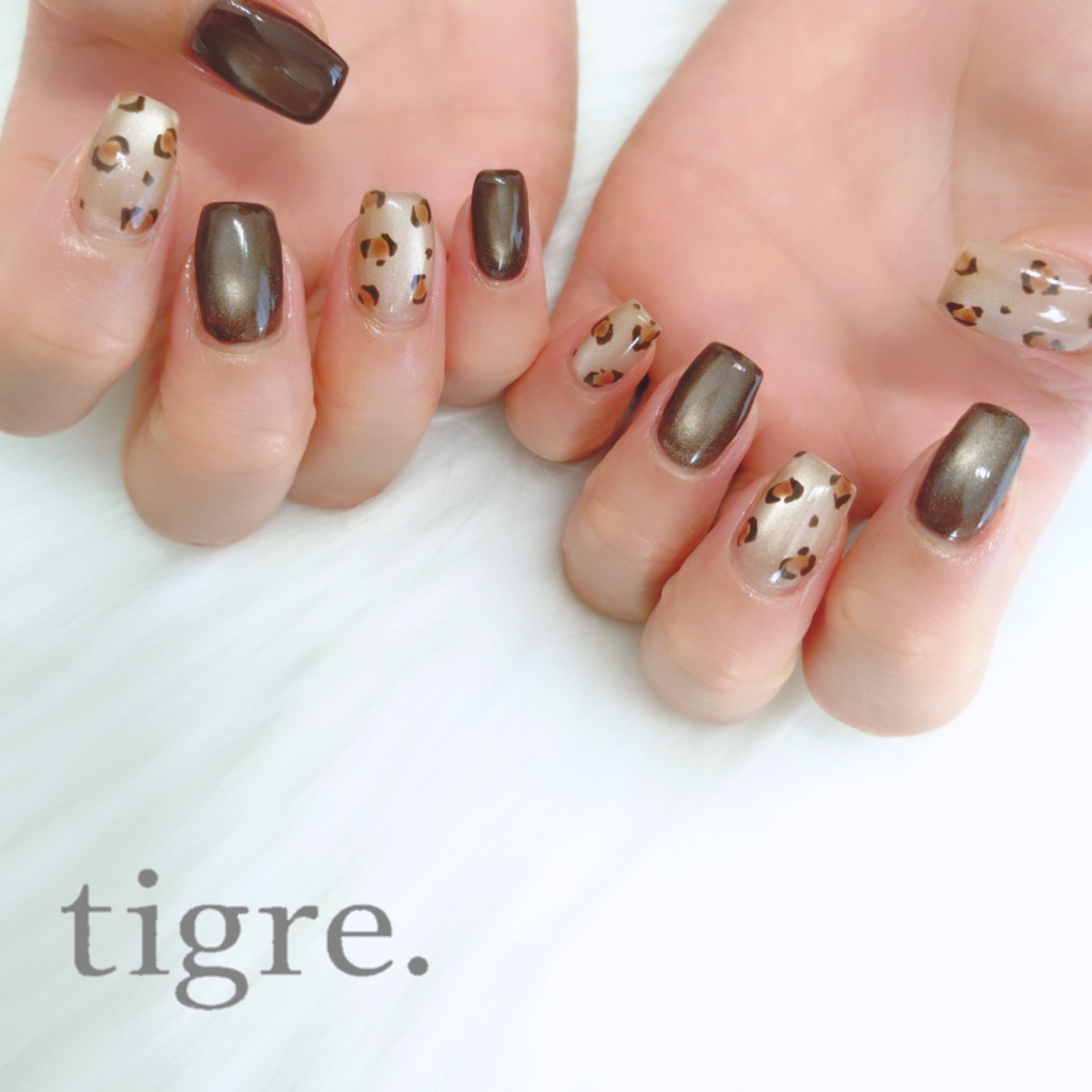 tigre.by_Natsuki