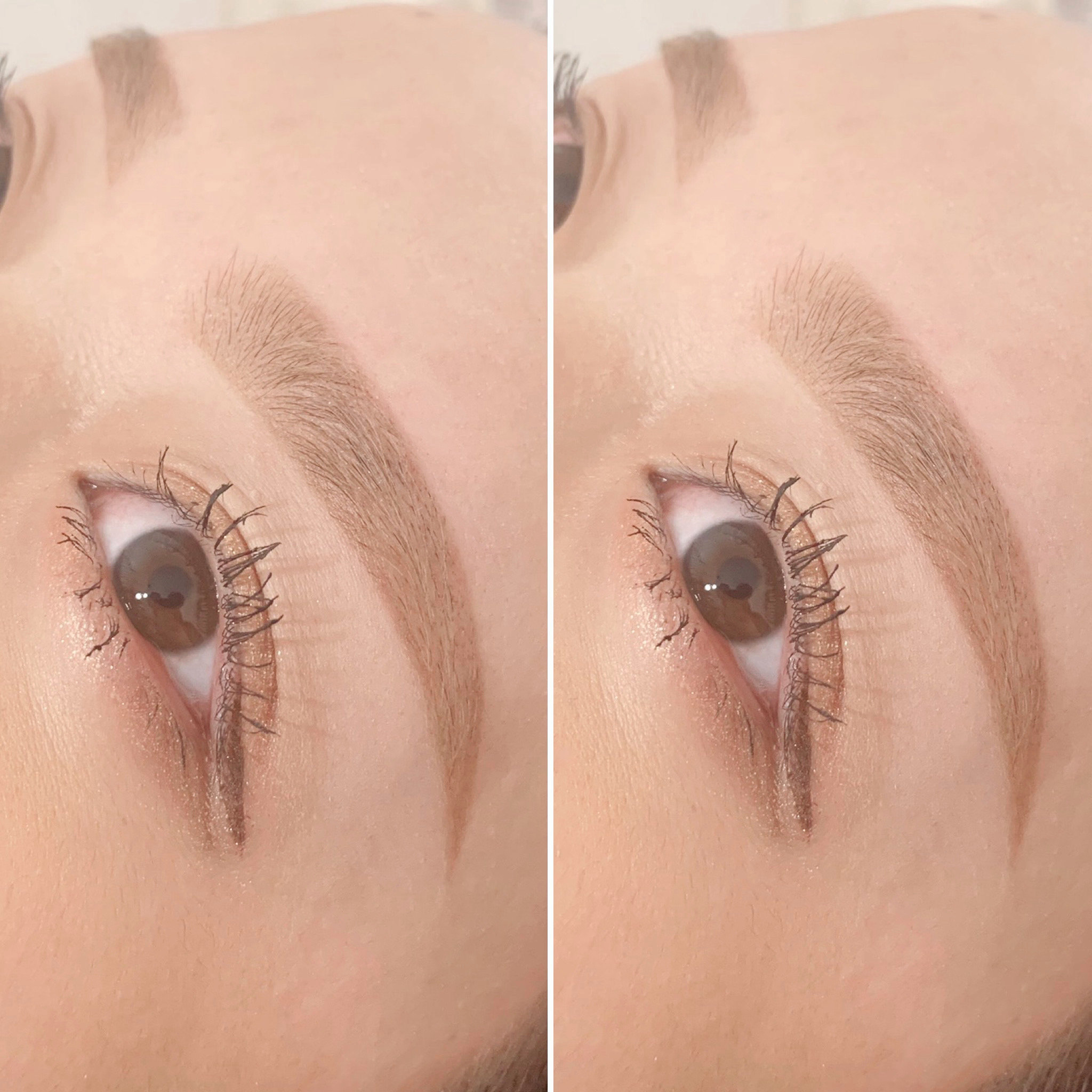 lily_eyebeauty