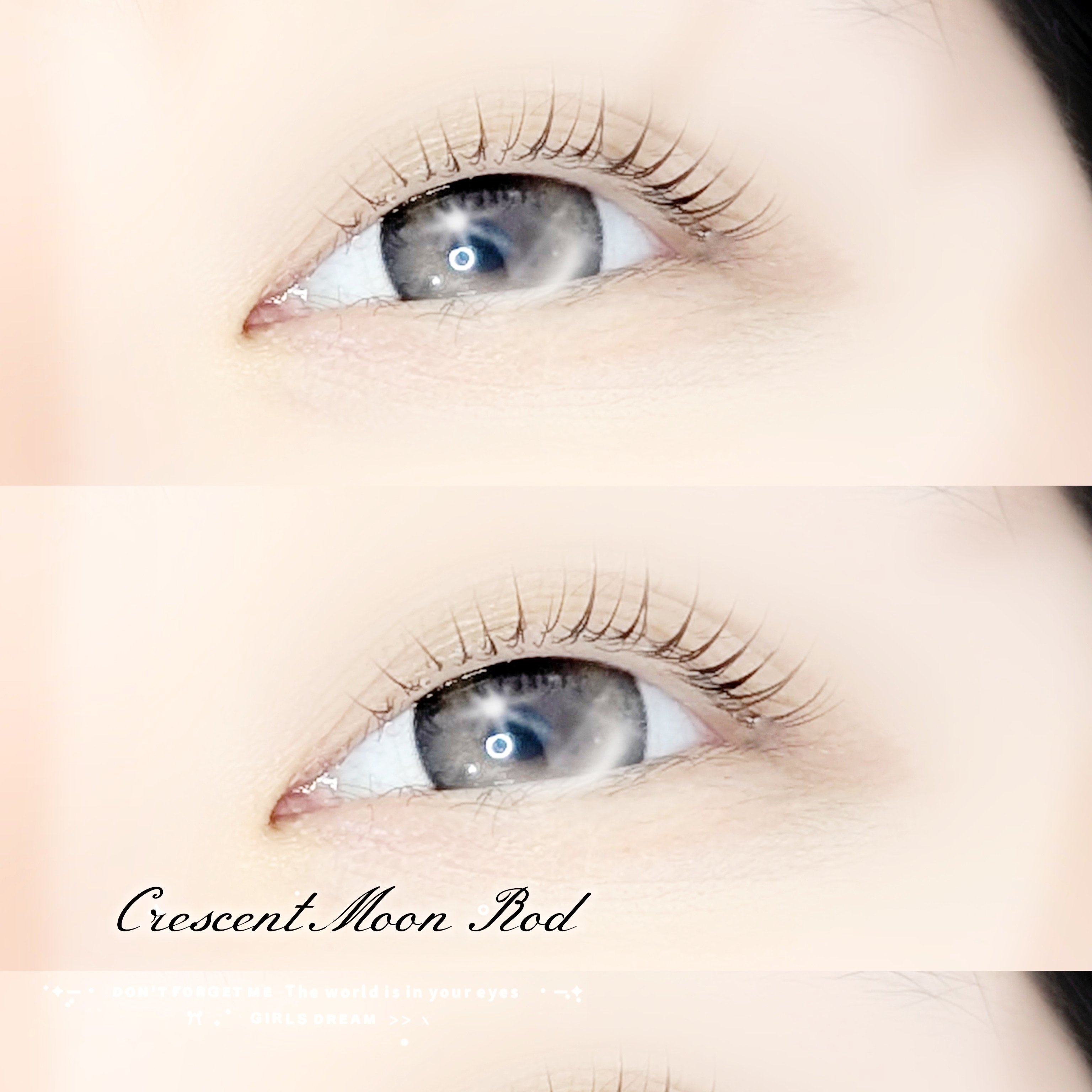 bloom.chihiro