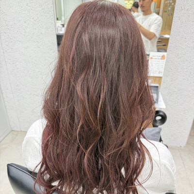 🐐GOAT_茅ヶ崎🐐イルミナorクロマティック🎨+カット✂️orシステムTr 🧖♀️