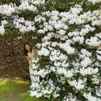 jungle.princess
