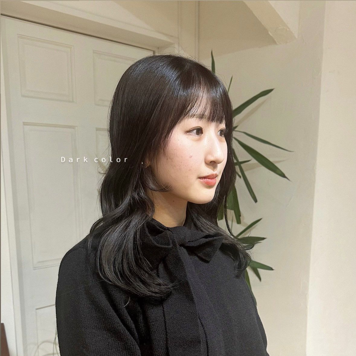 ciena_madoka