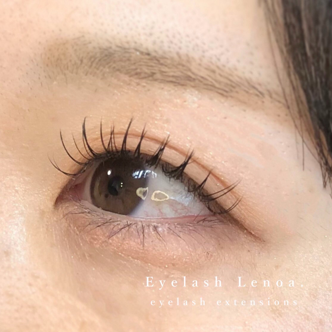 lenoa_eyelash