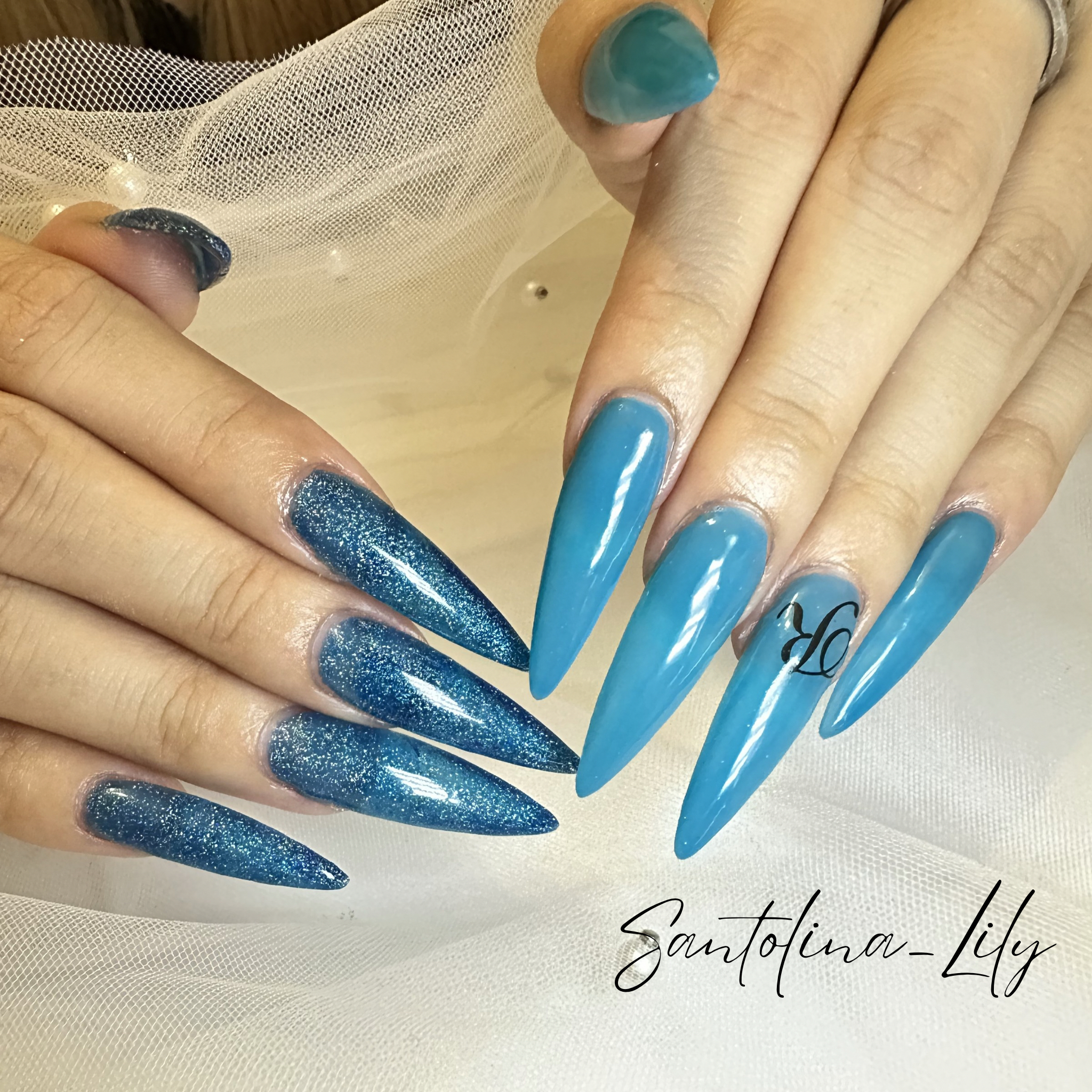 Santolina_Lily