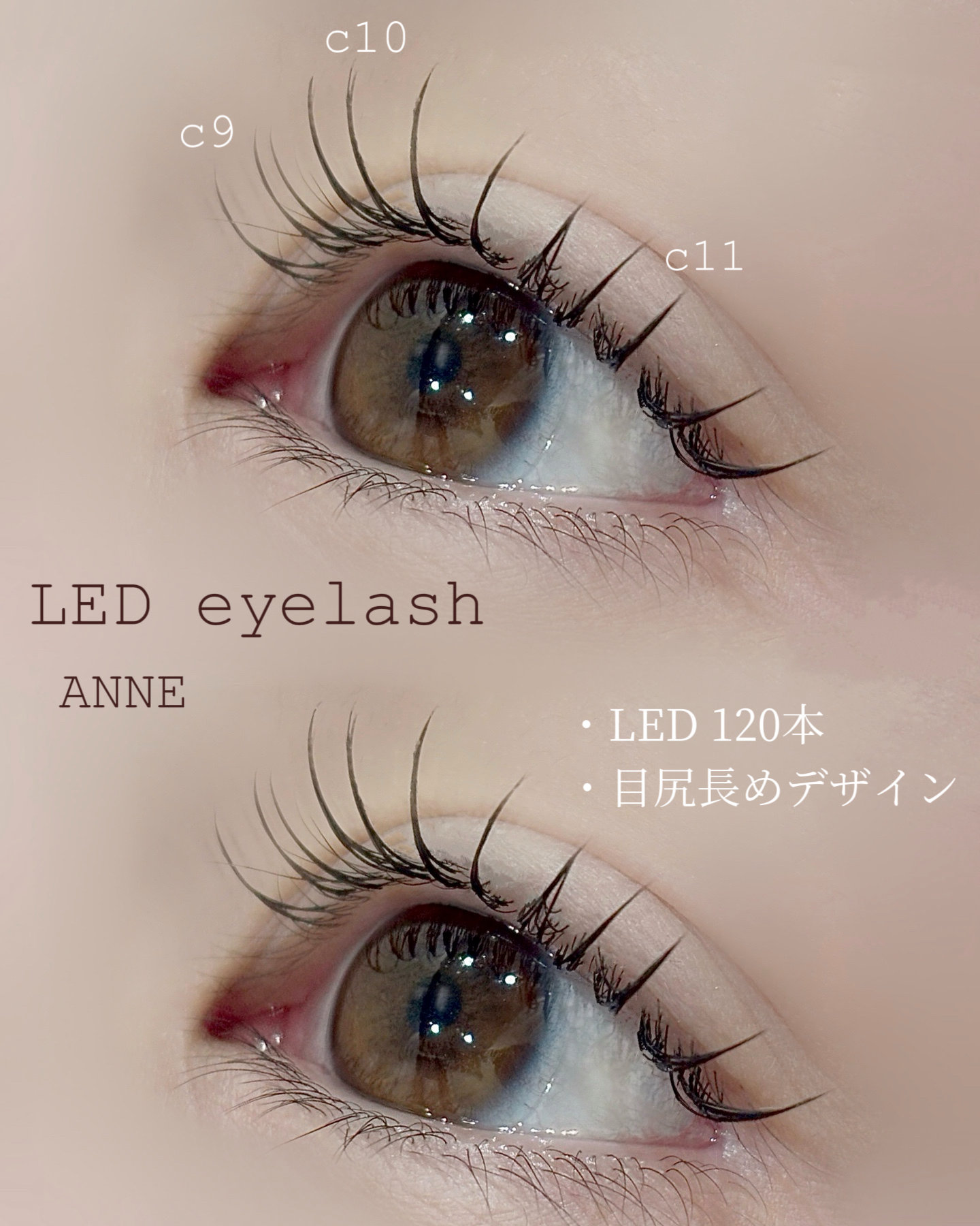 anne_chizu
