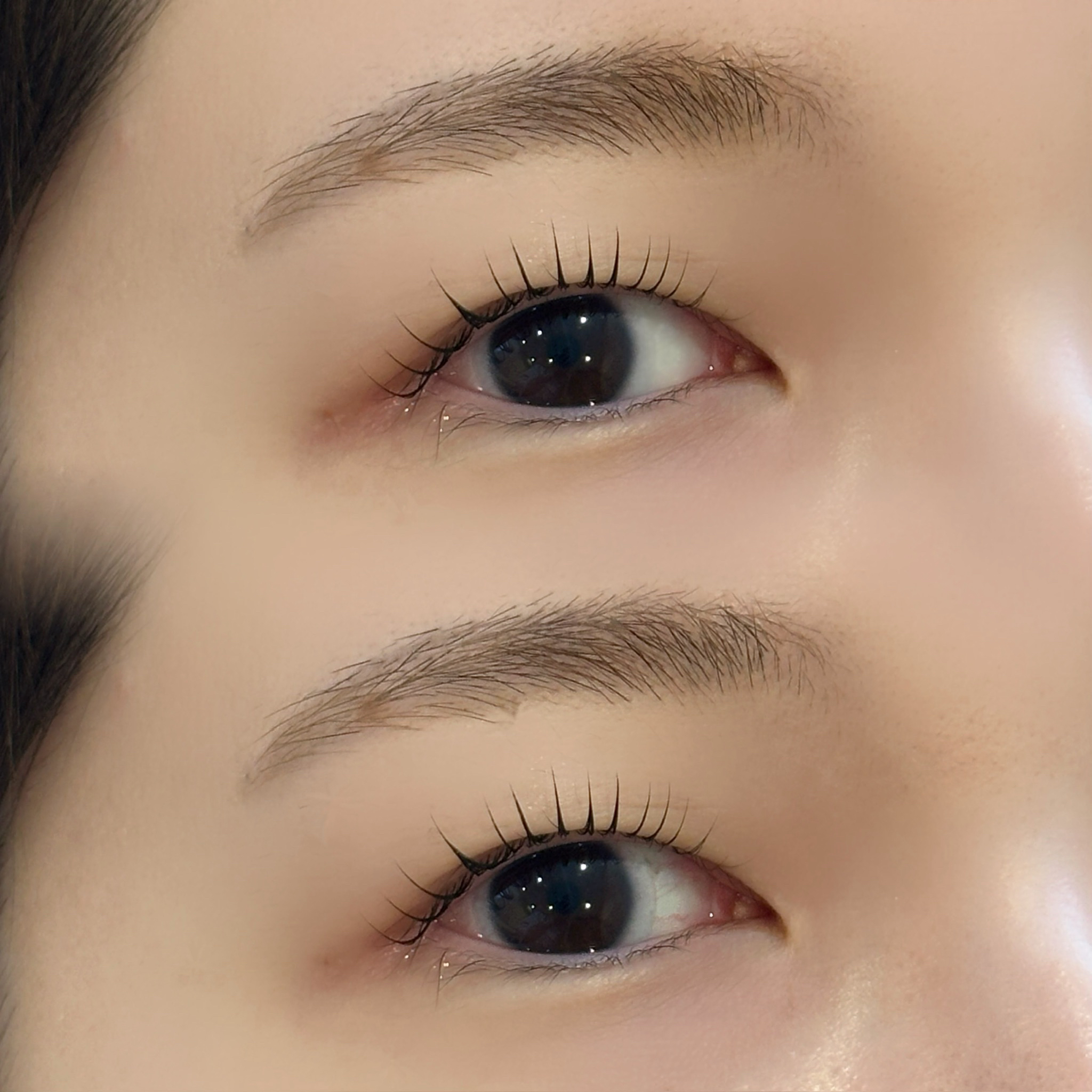 kyoka_select