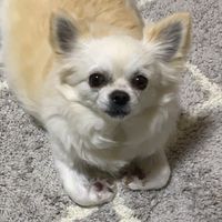 nana.kai08409