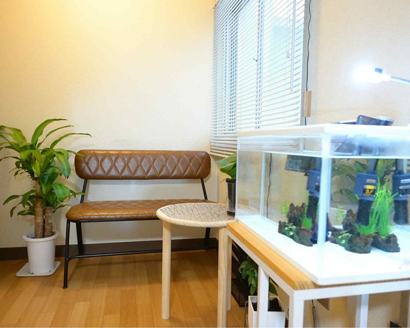 Nekonailsalon