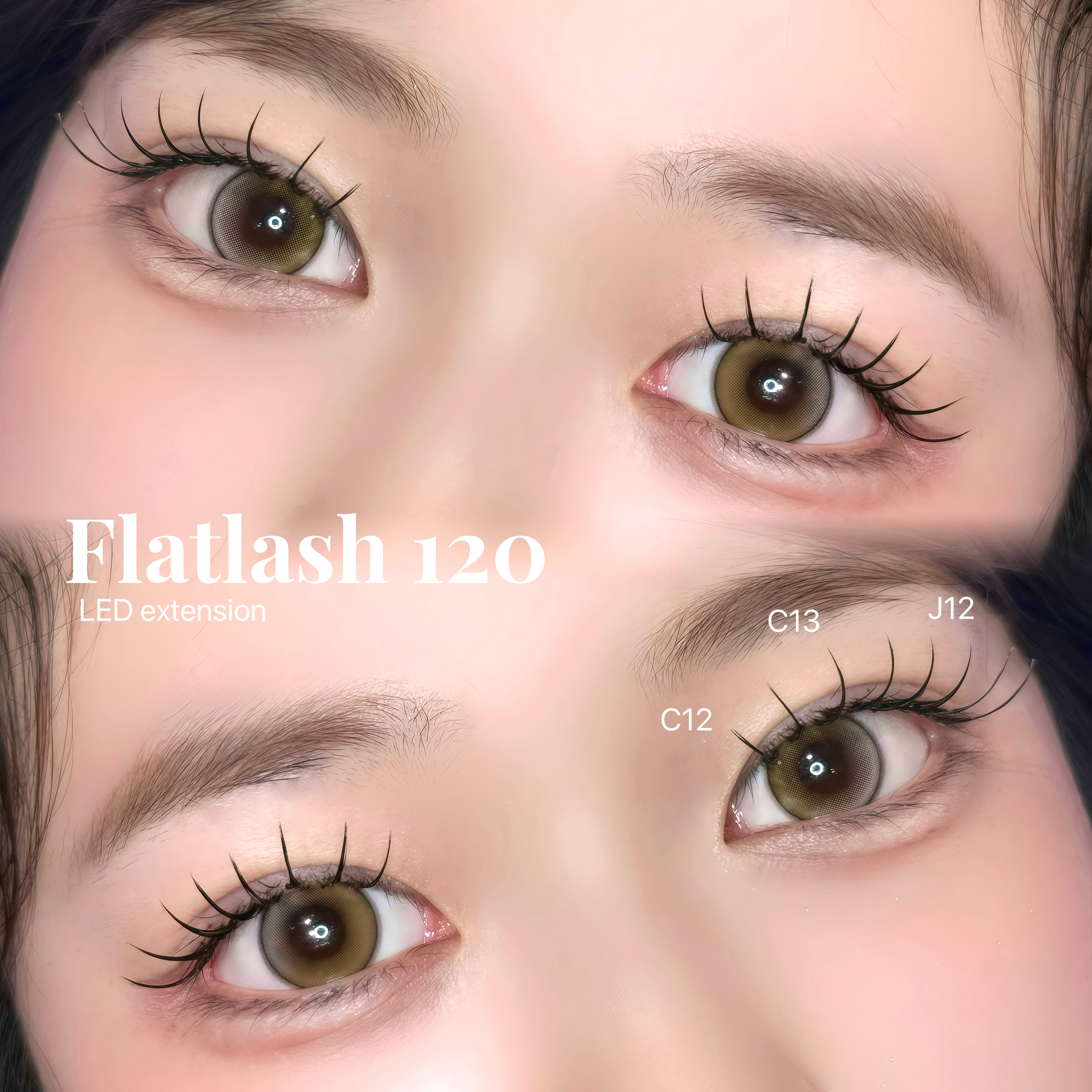 fein_yumina