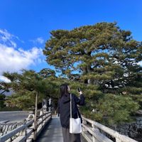 noriko_trunail