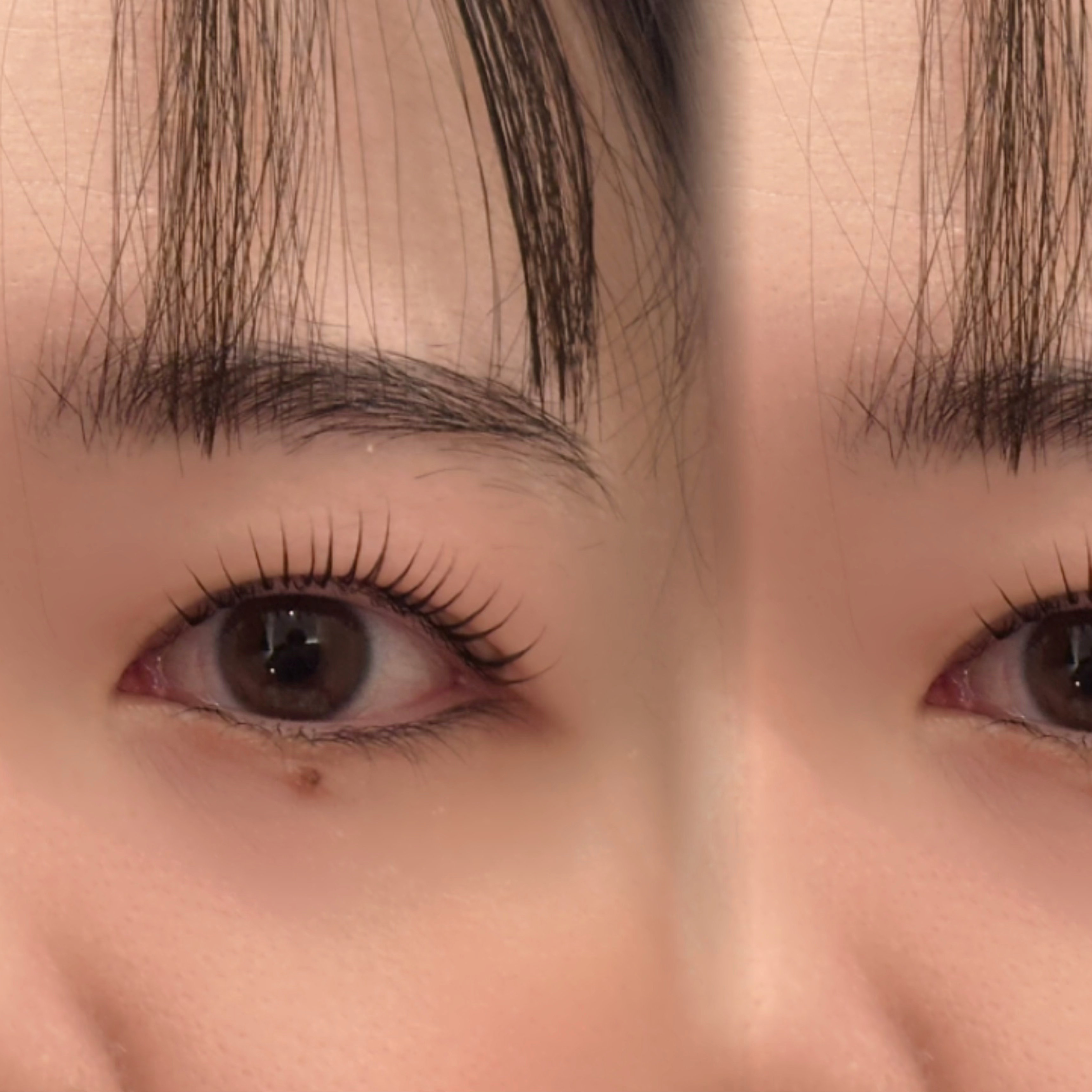 toujours_.momo