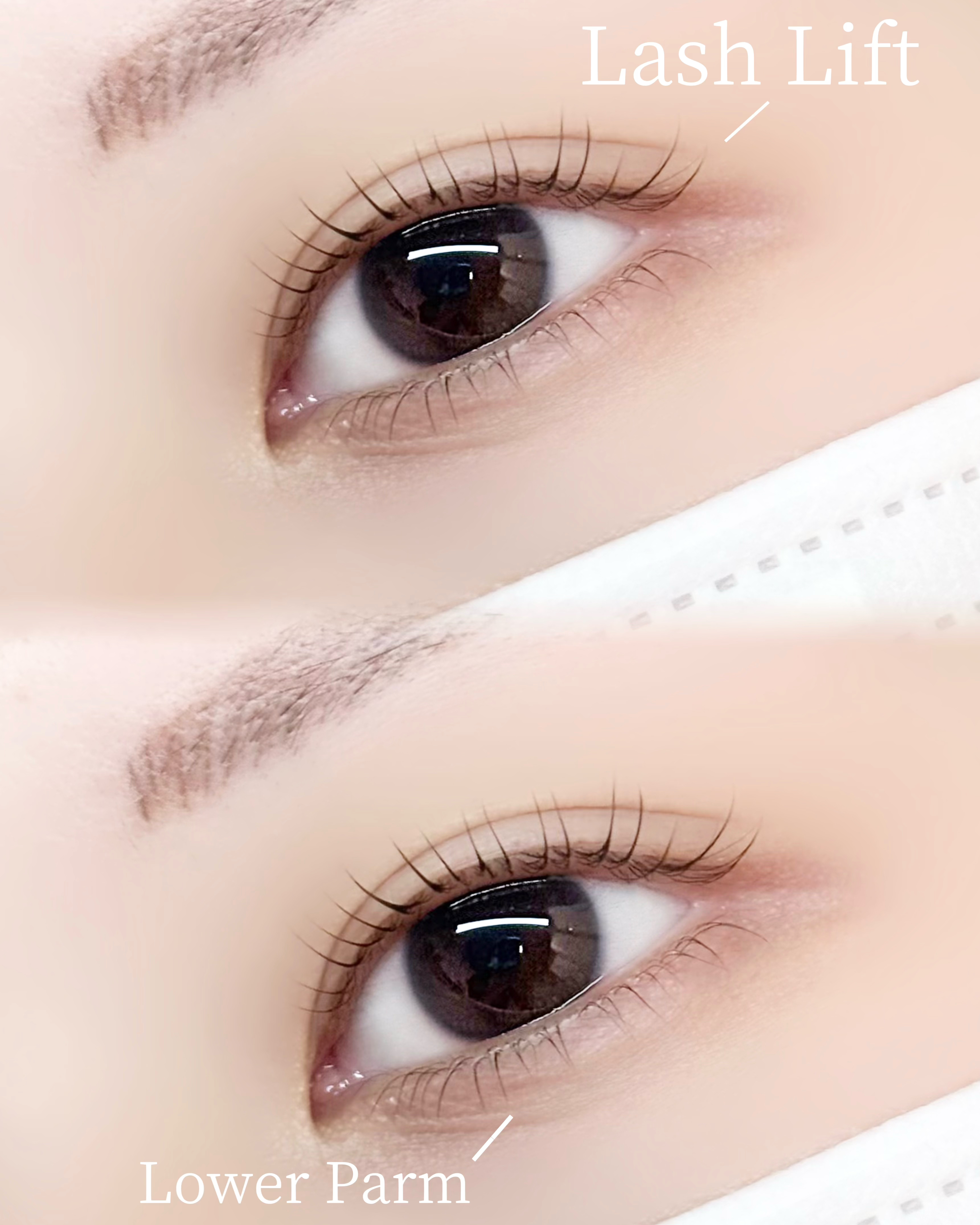 Im_yui.eyelist