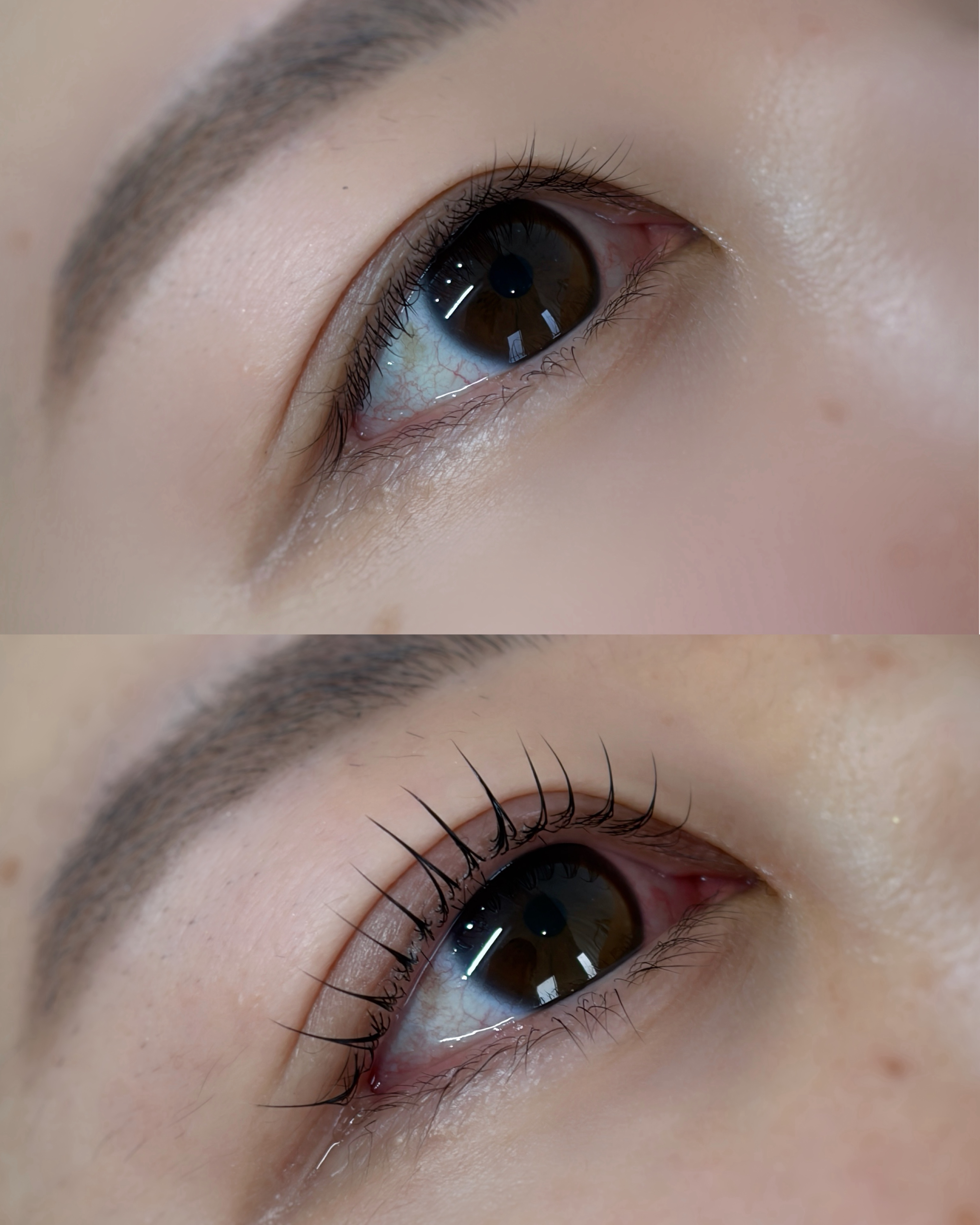 fuu_asuka