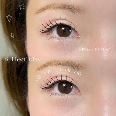 【四ツ橋】アンドヘルシー120本|人気No.1大人束感