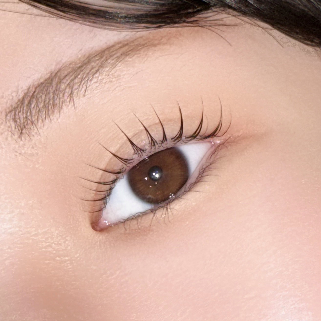 arisa.eye