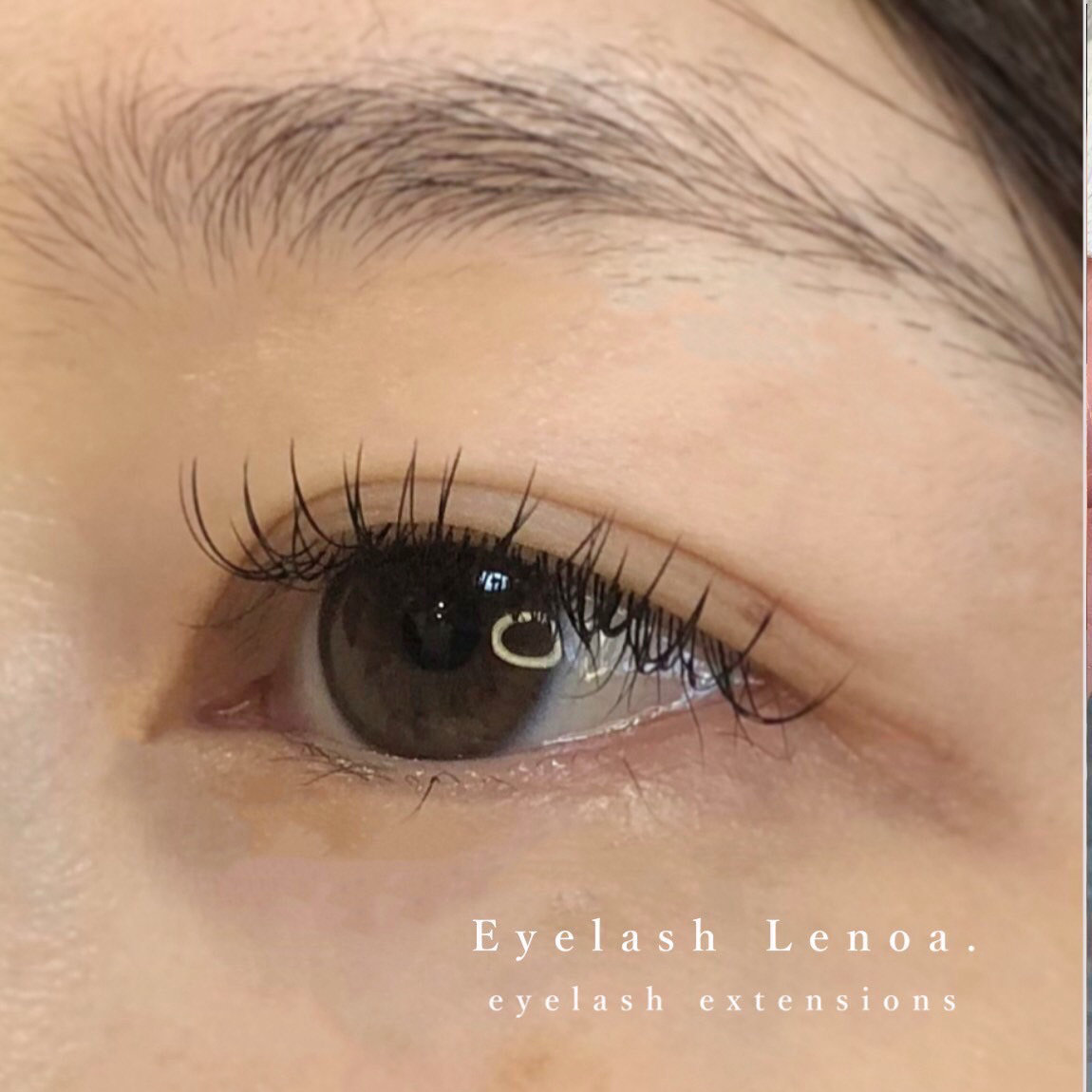lenoa_eyelash