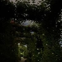 y_1025