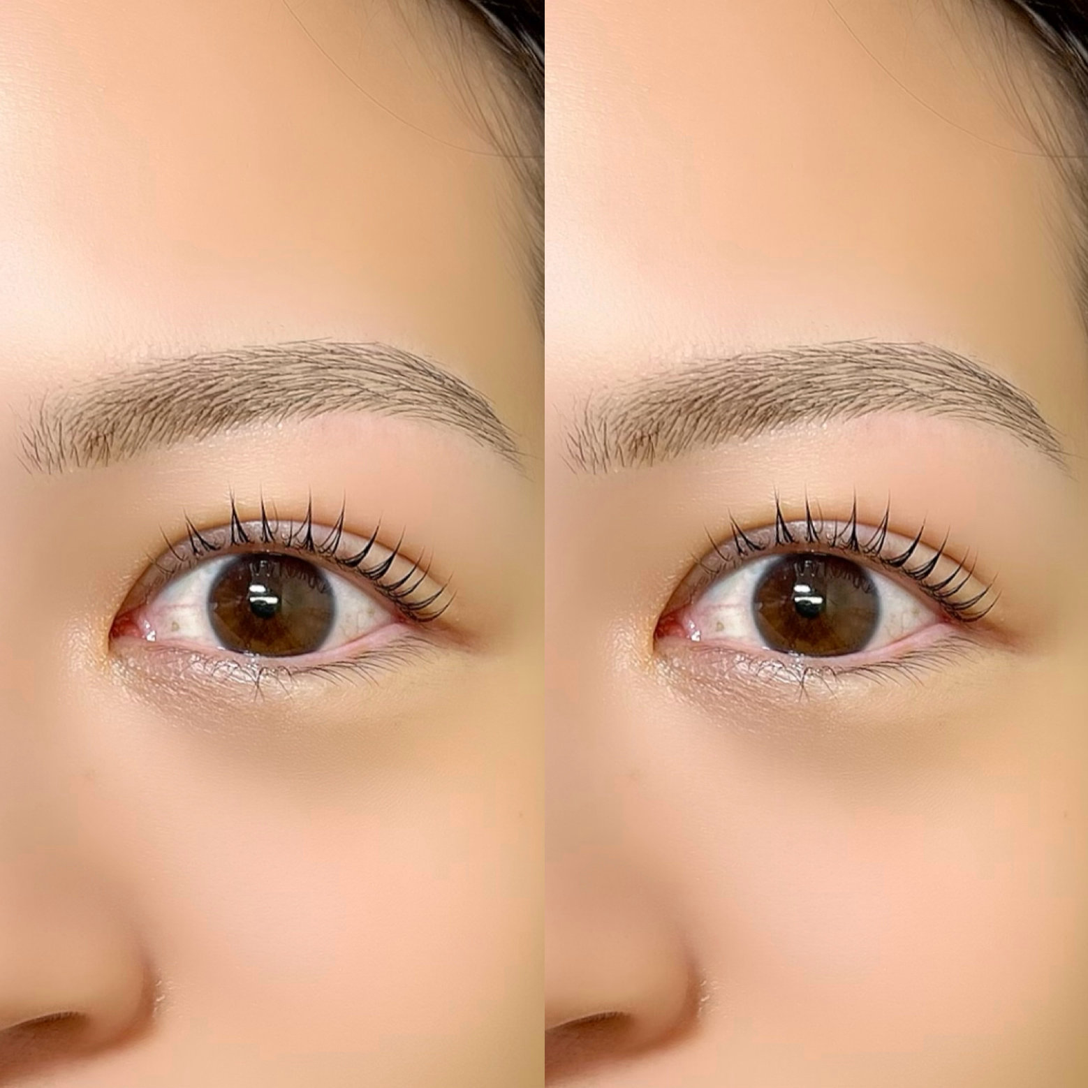 ymgc____