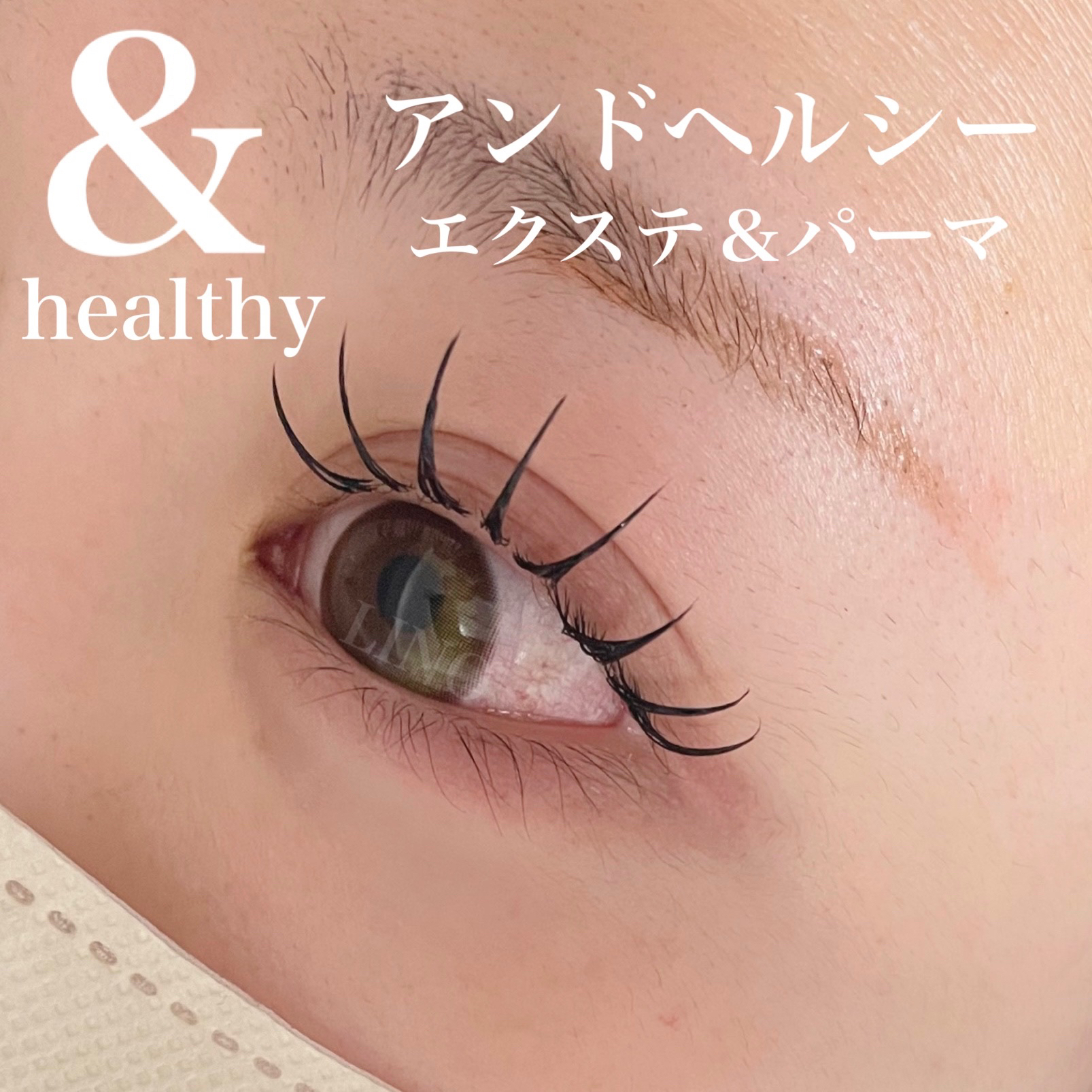LINO_eyelash.