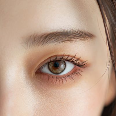 【セットメニュー】美眉毛スタイリング×まつ毛パーマ