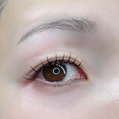 フラットラッシュ120本【オフ込み】+眉WAX