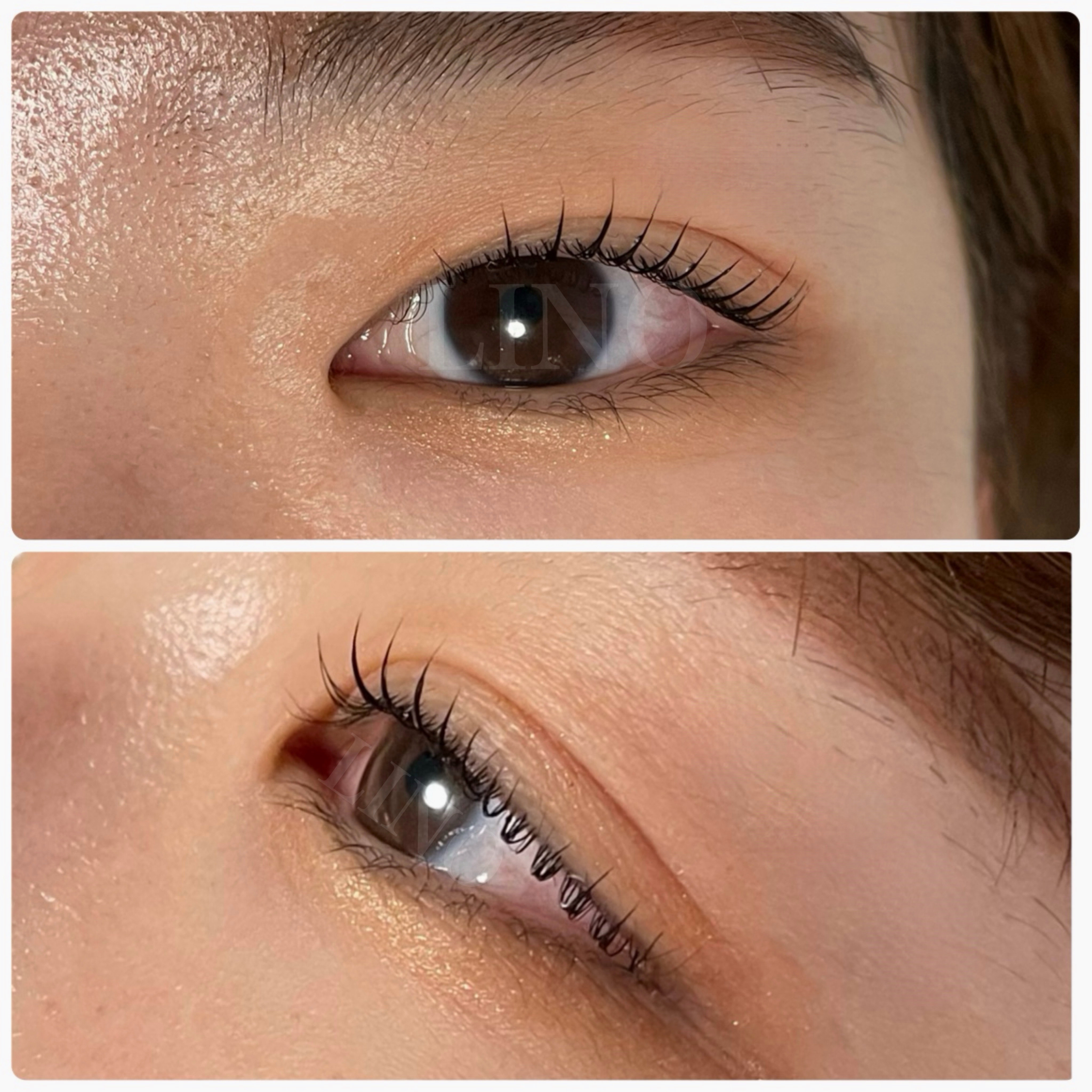LINO_eyelash.