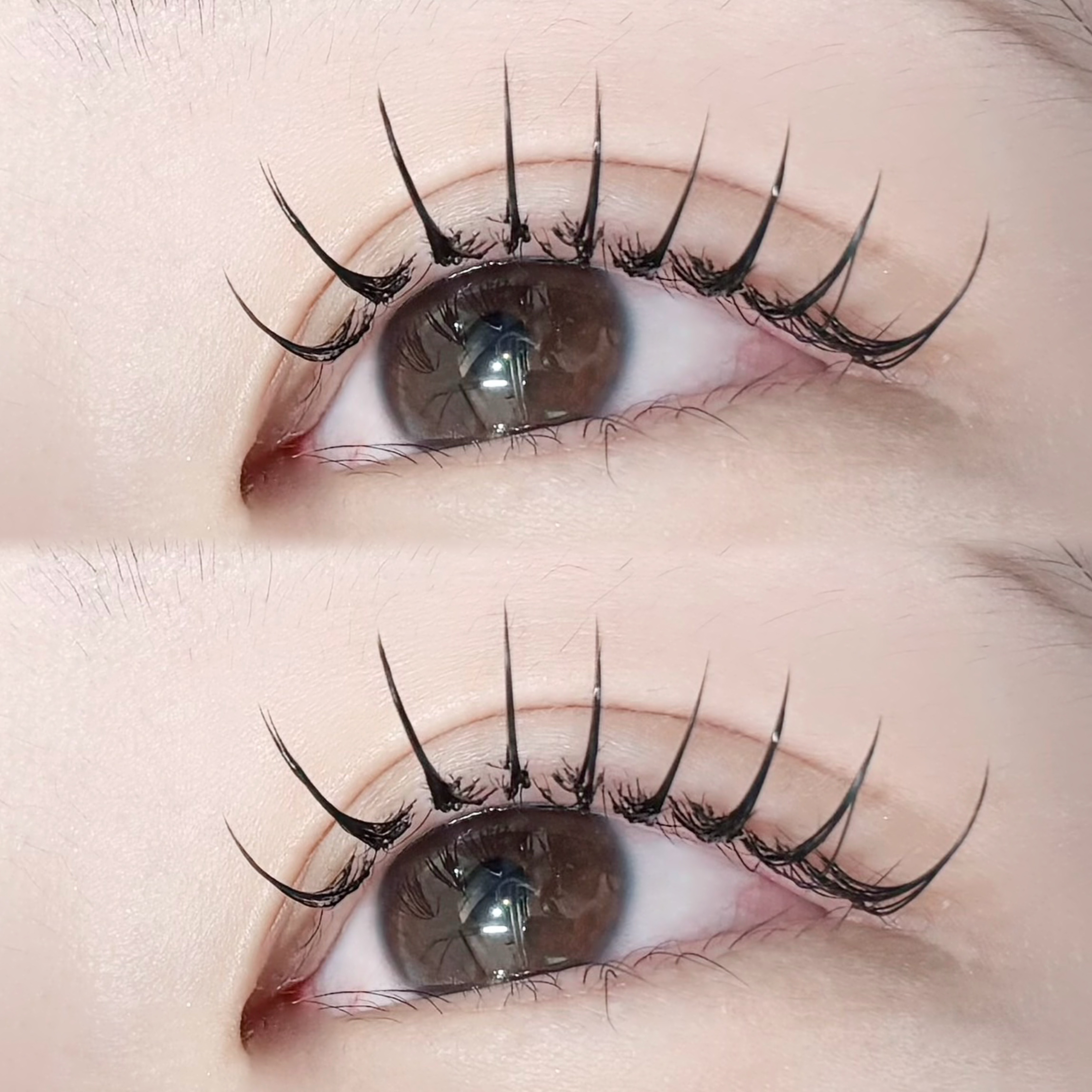 BUCKS_eye