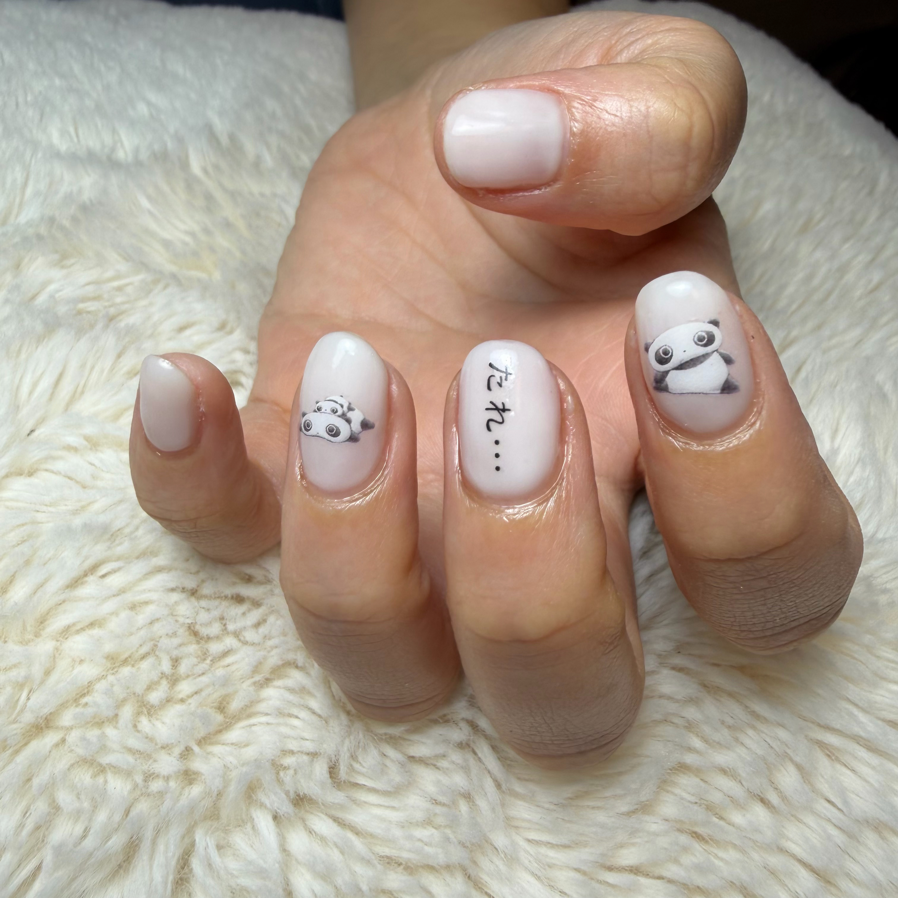 mnail.cc