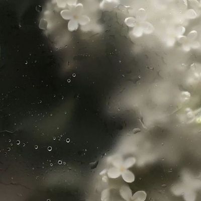 付け替えオフ【1本/¥150】