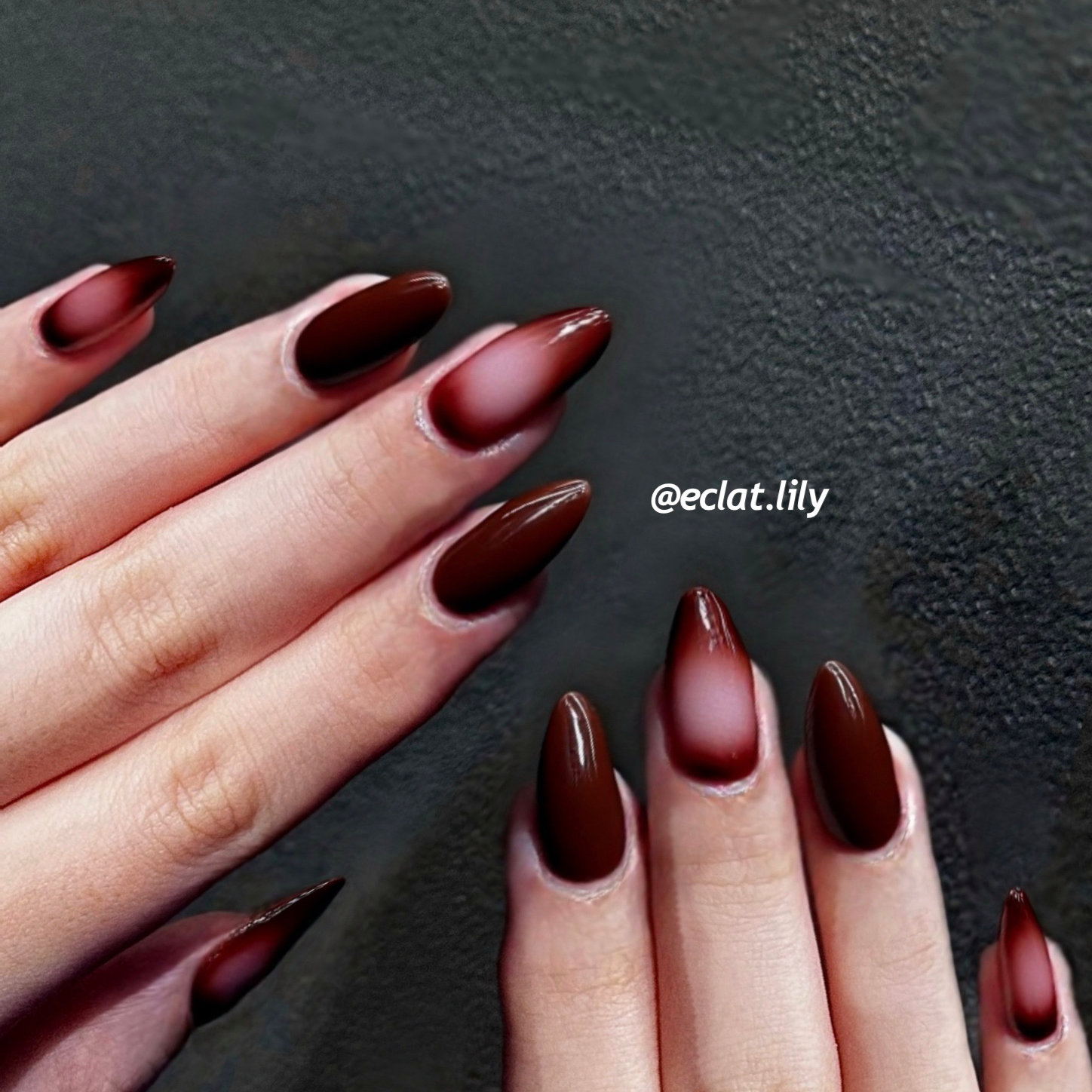 eclatlily