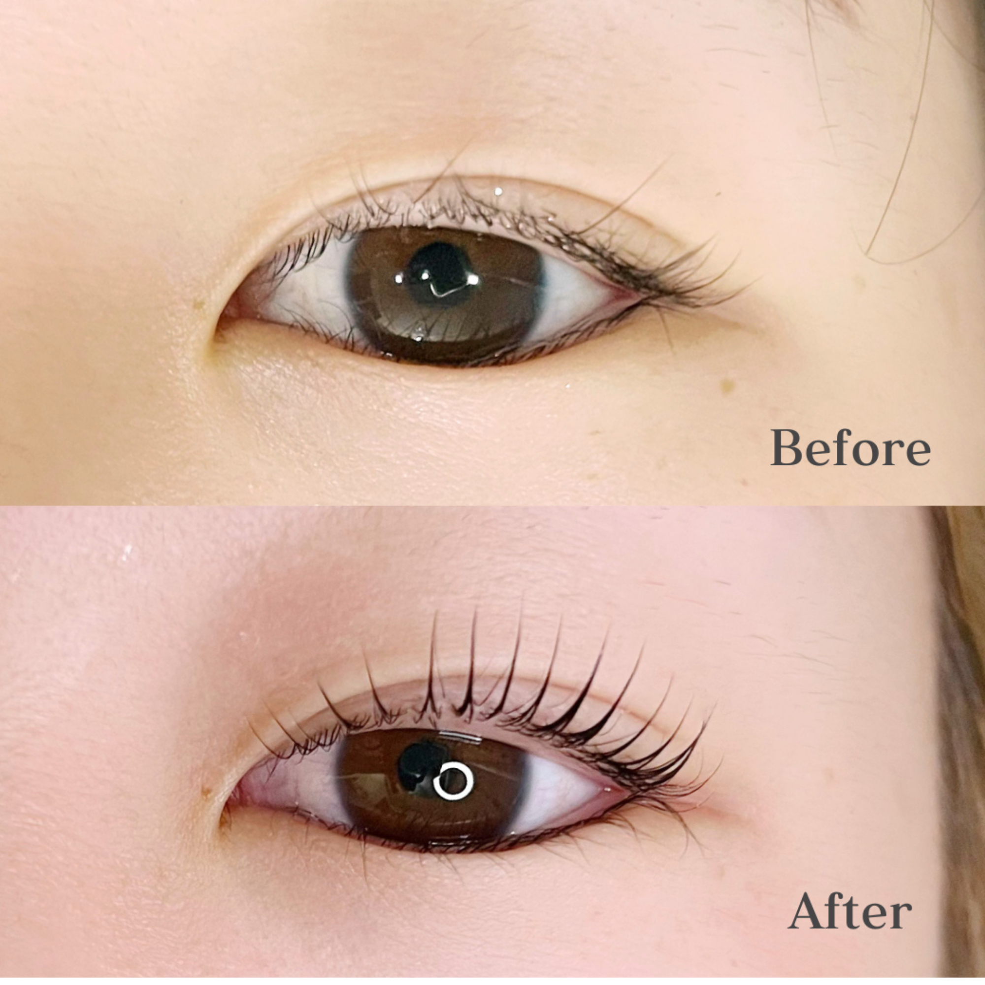 bright_eyelash