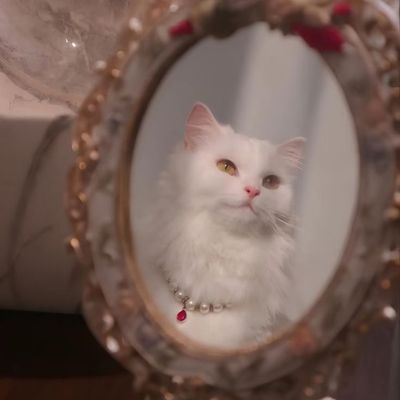 チップ長さ出しオフ