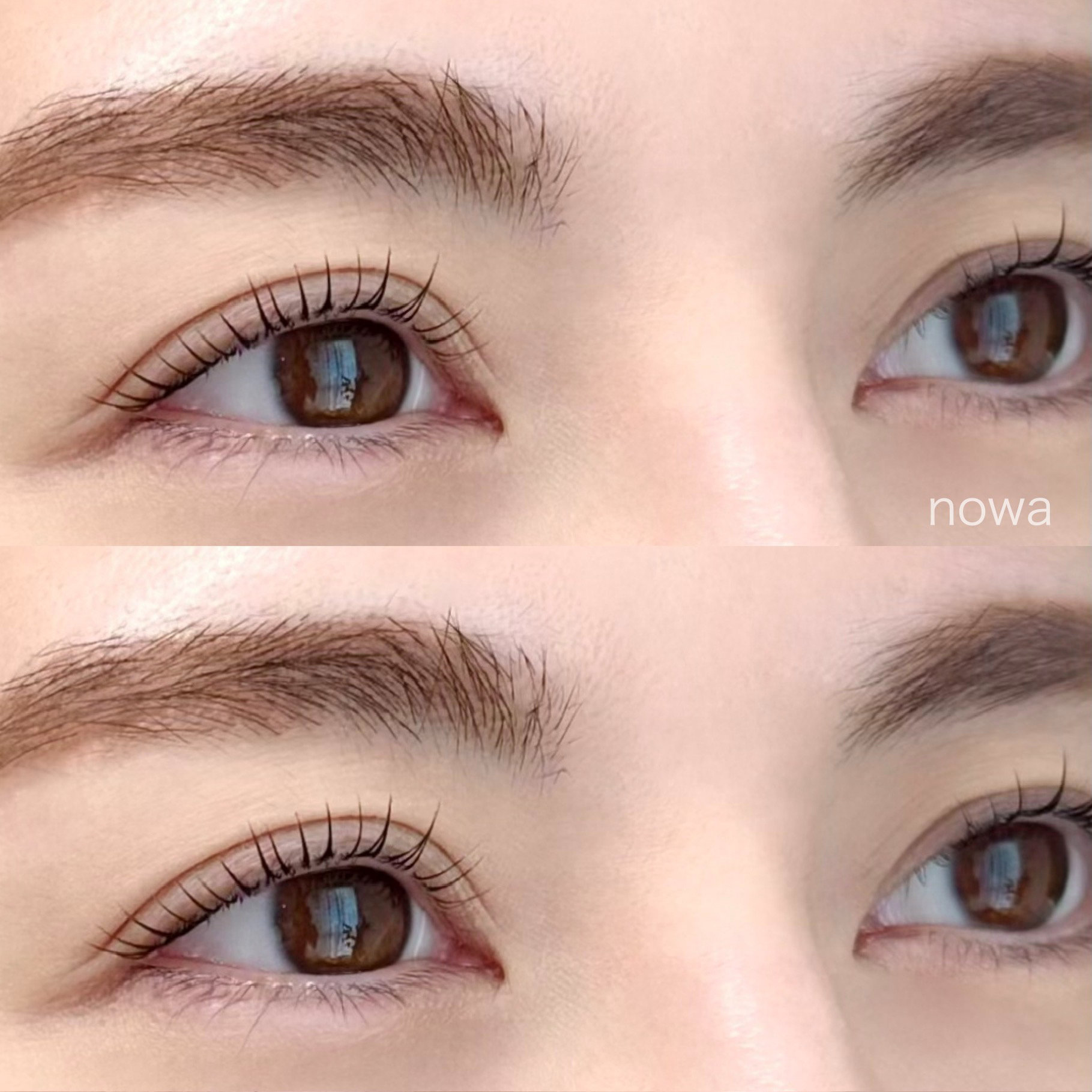 nowa_mai
