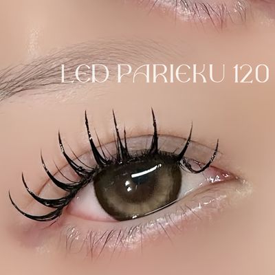LEDパリエク120本🪿｡･彡