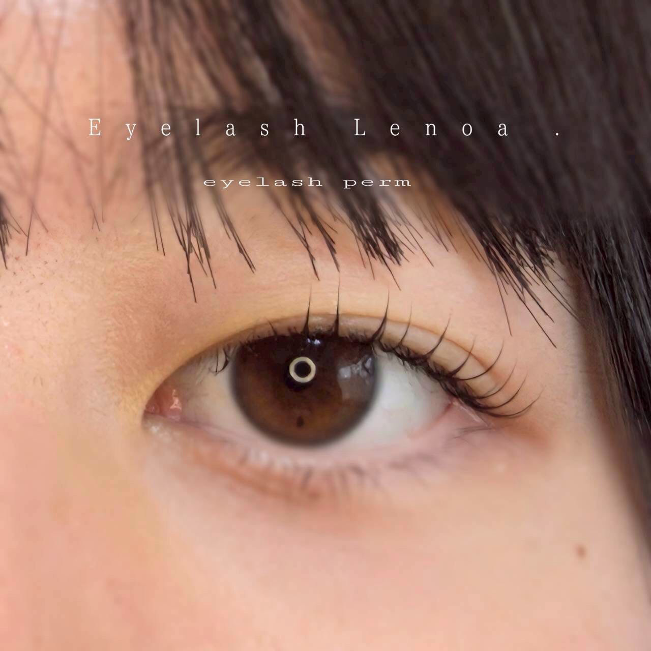 lenoa_eyelash