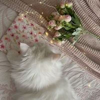 _amour_nail
