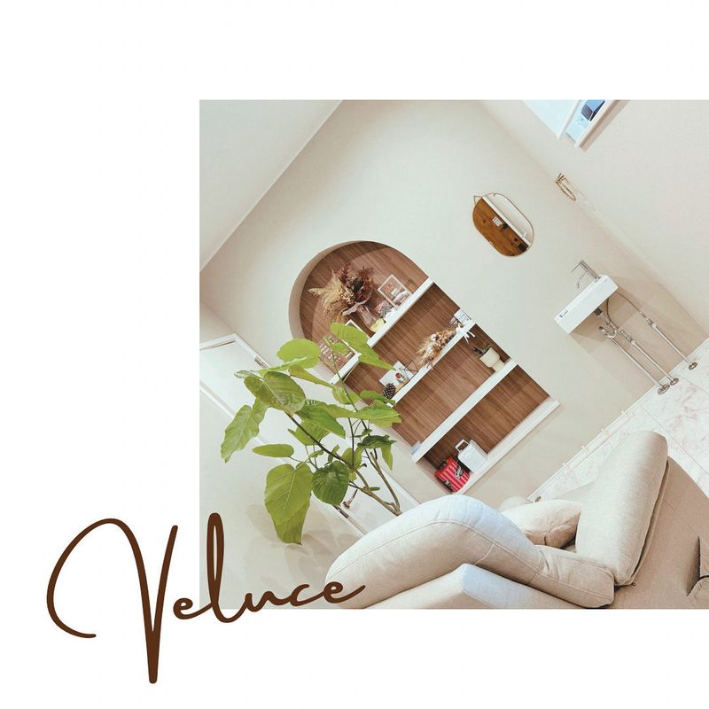 Veluce_kashiwa