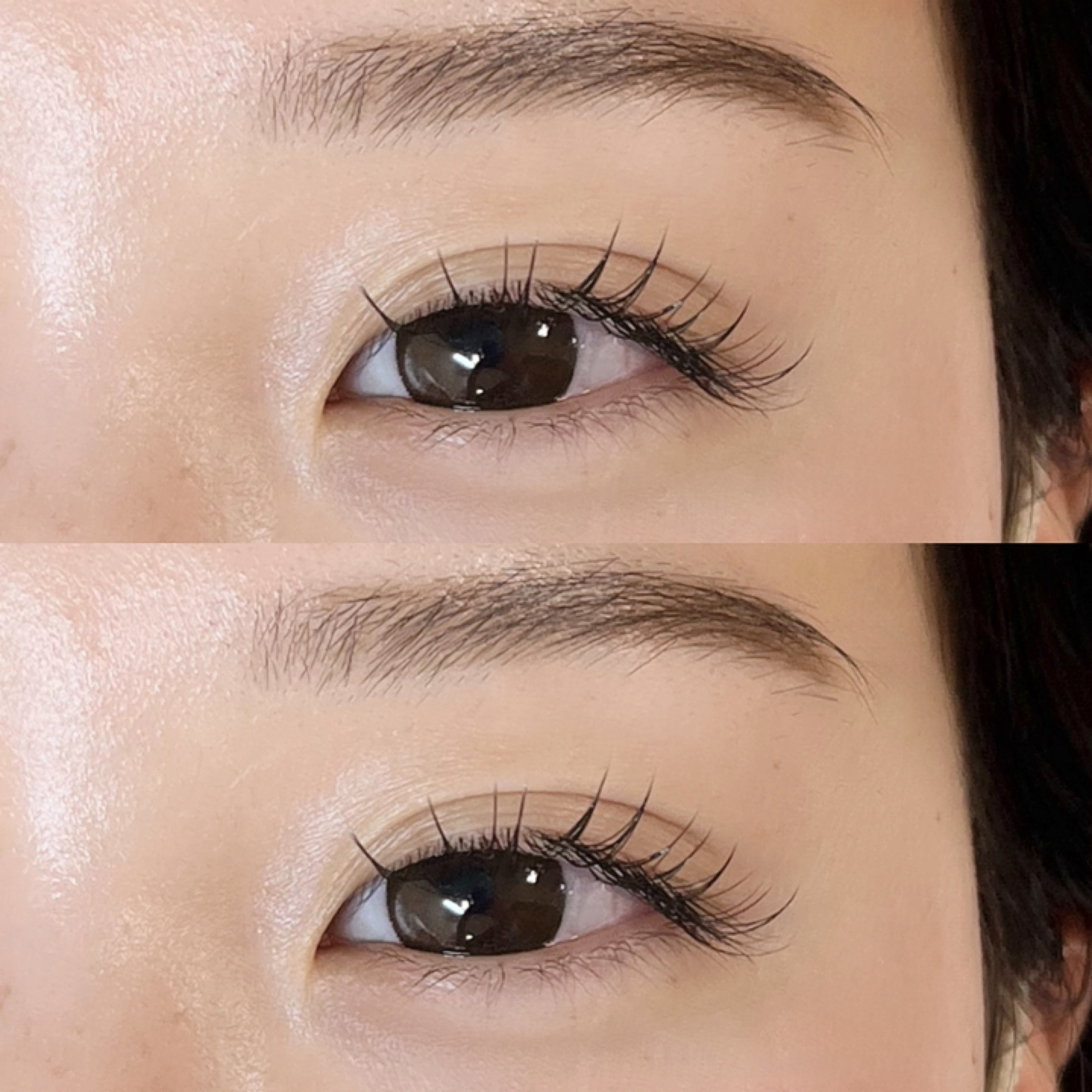 himawari_trueye