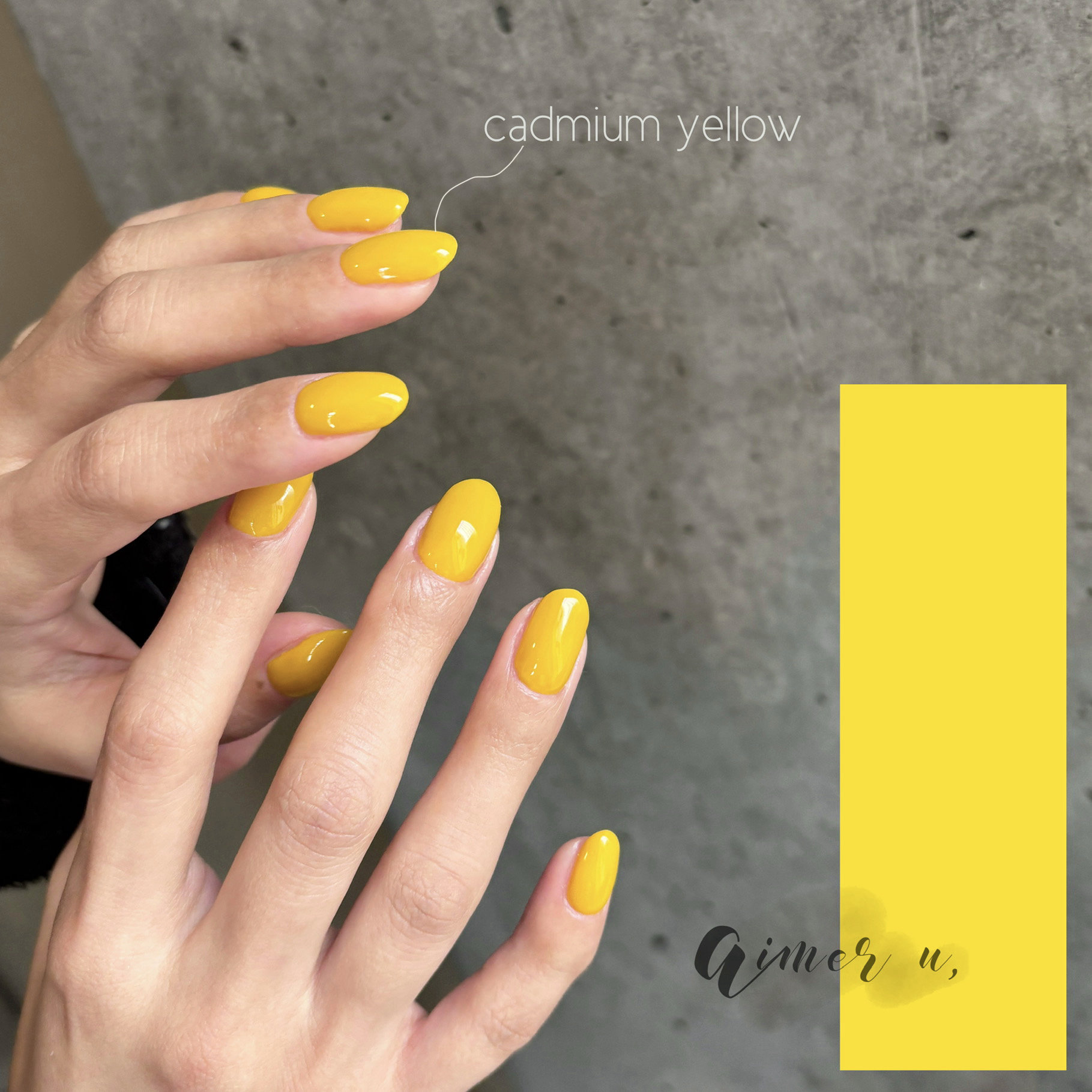 aimer_u...ami