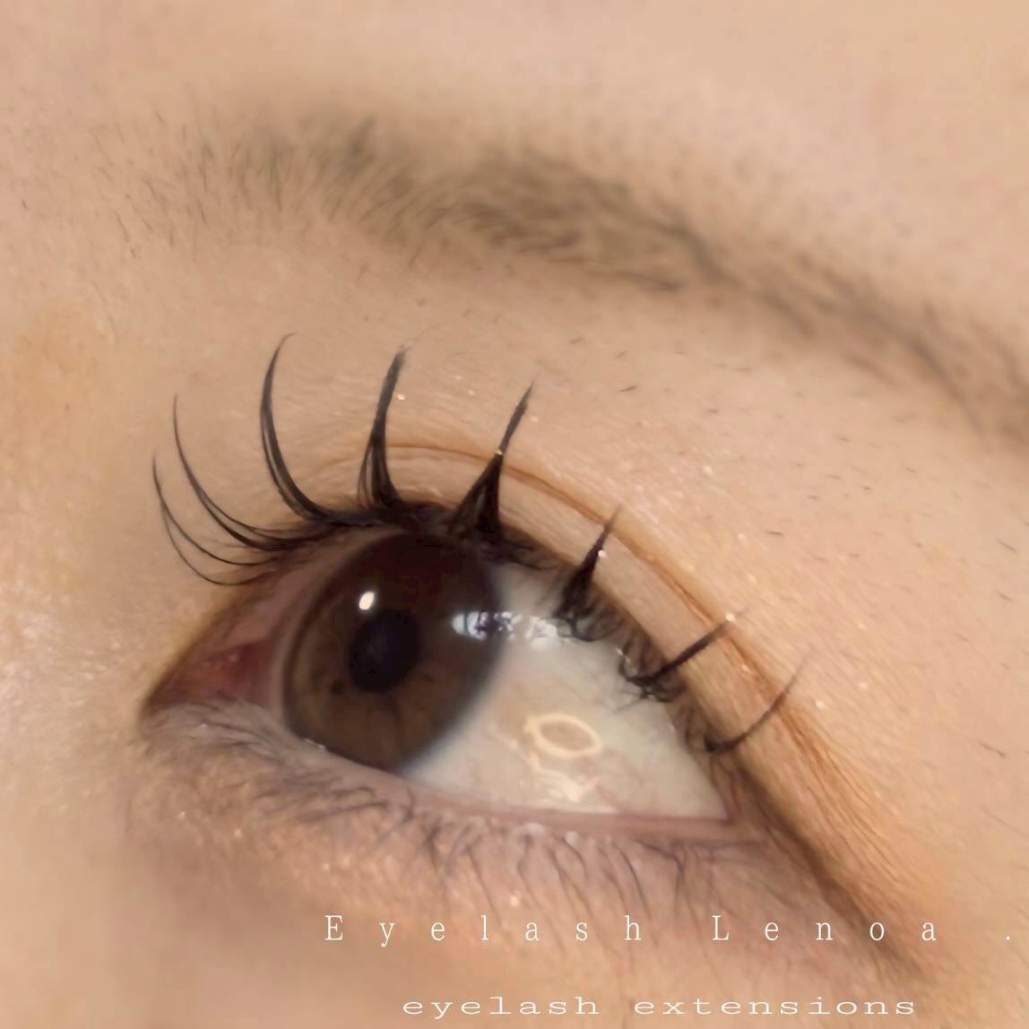 lenoa_eyelash